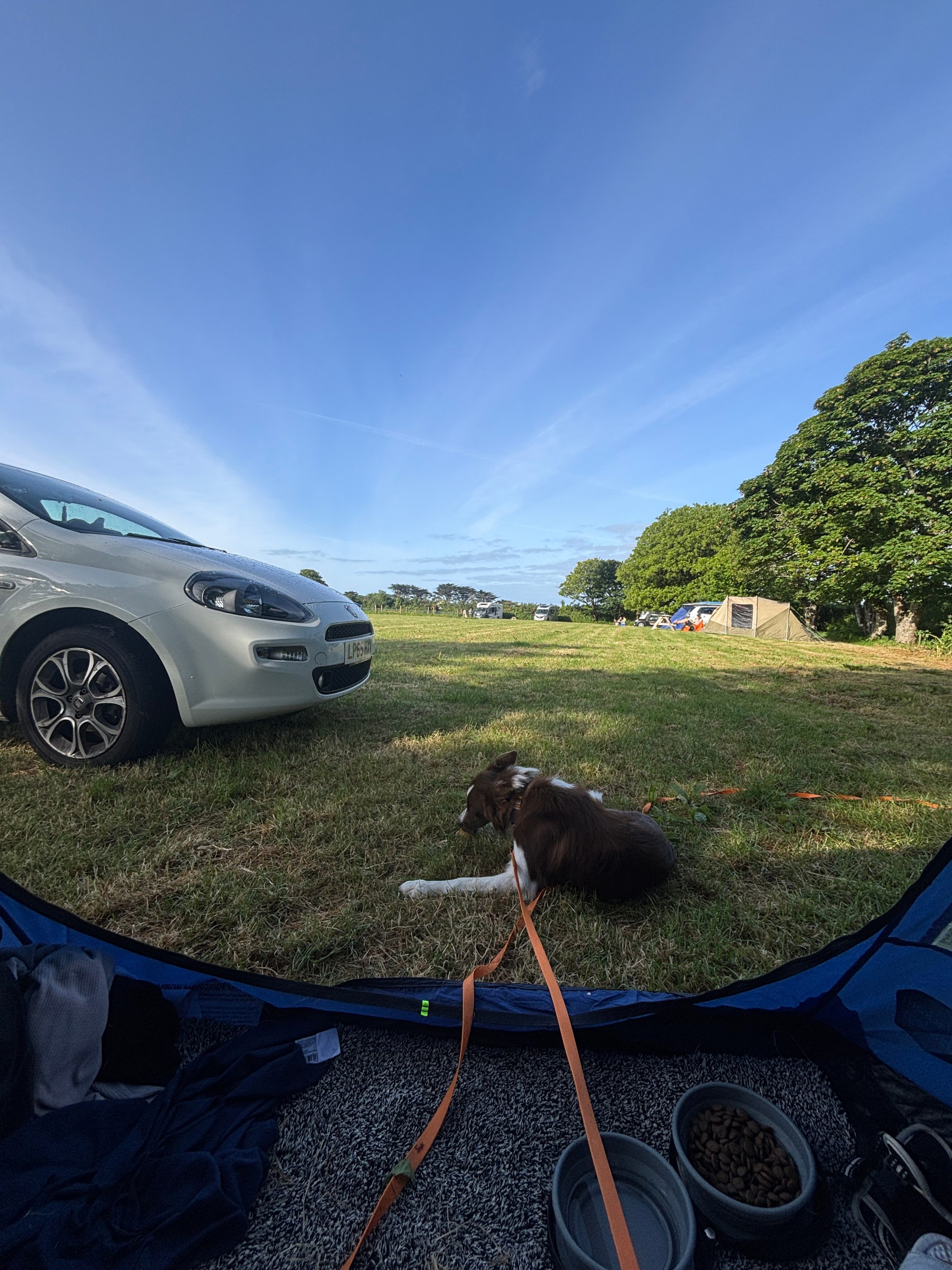Roskilly Camping