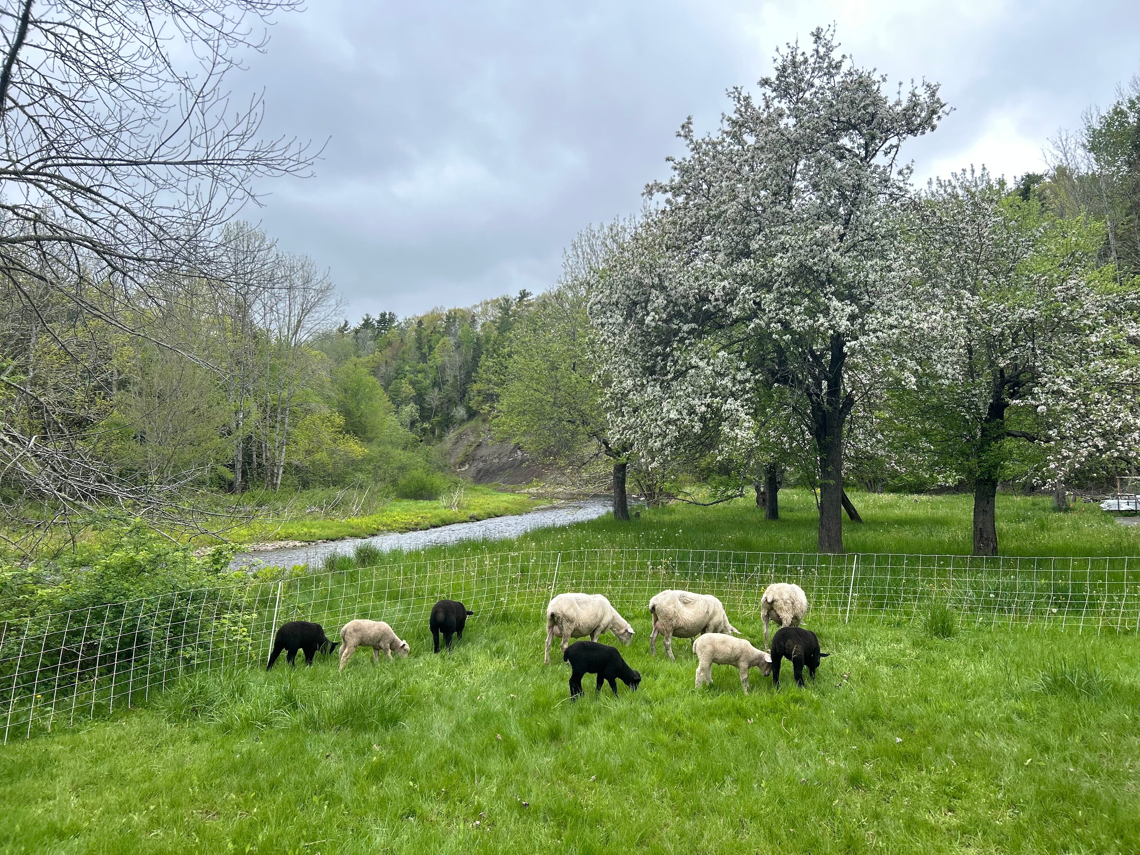 Sustainable Hill Wellness Resort