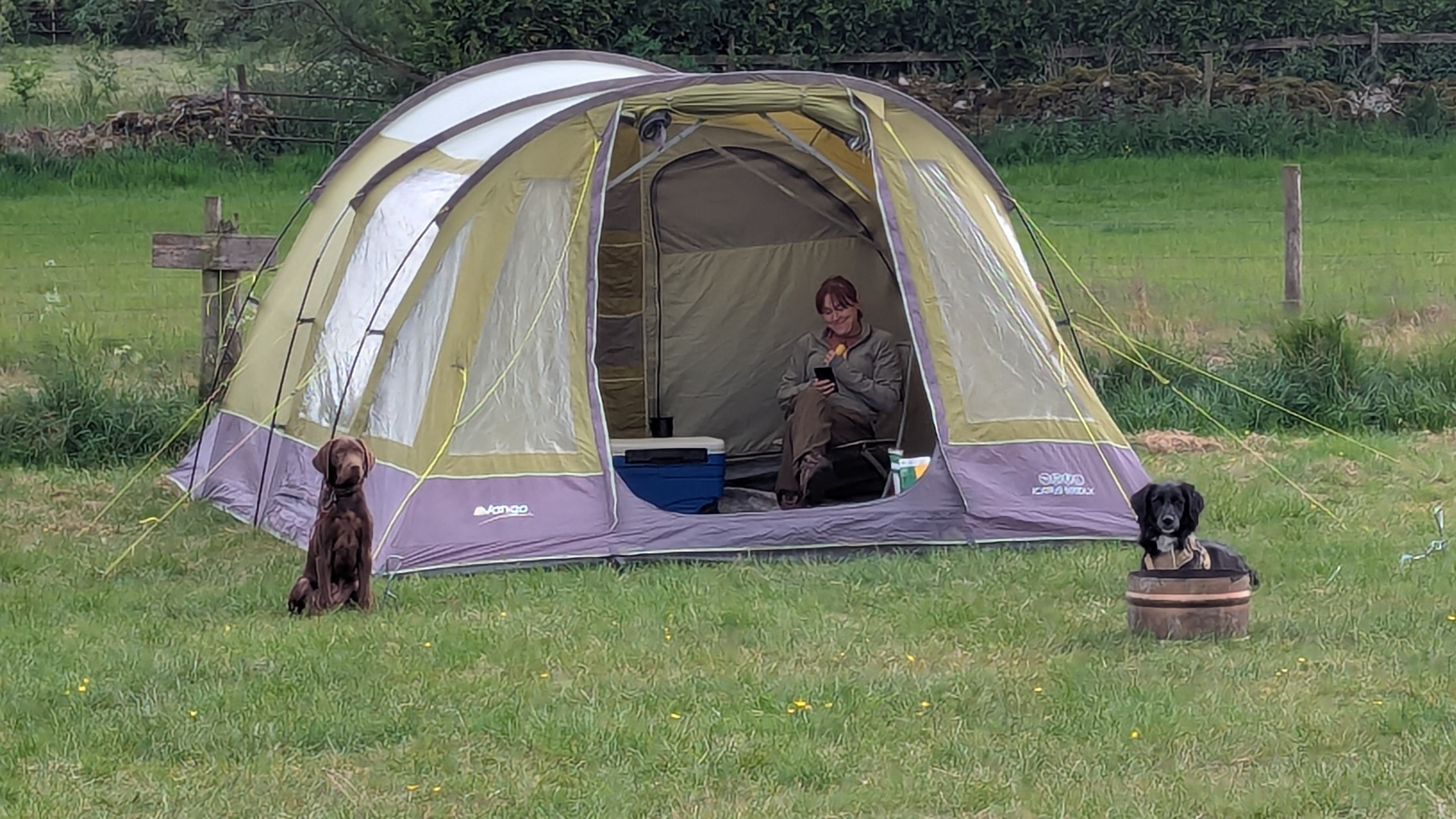 White Peak Camping