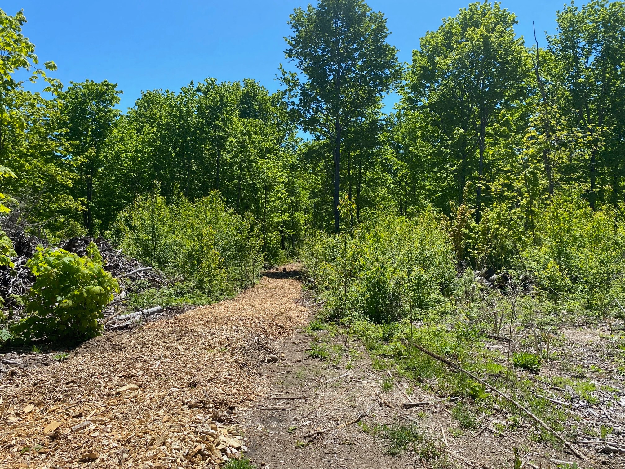 Mr. Joe's Campground