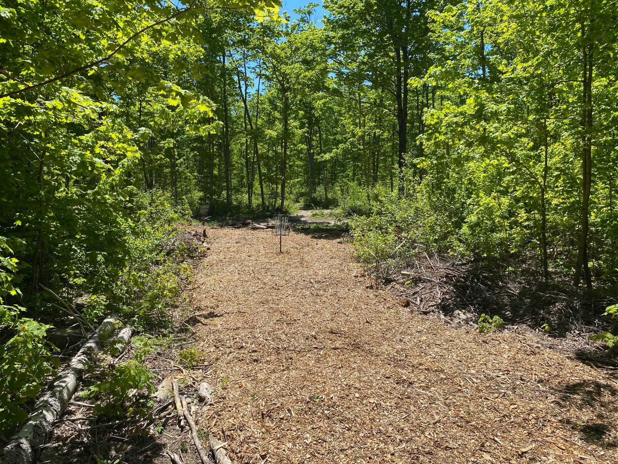 Mr. Joe's Campground