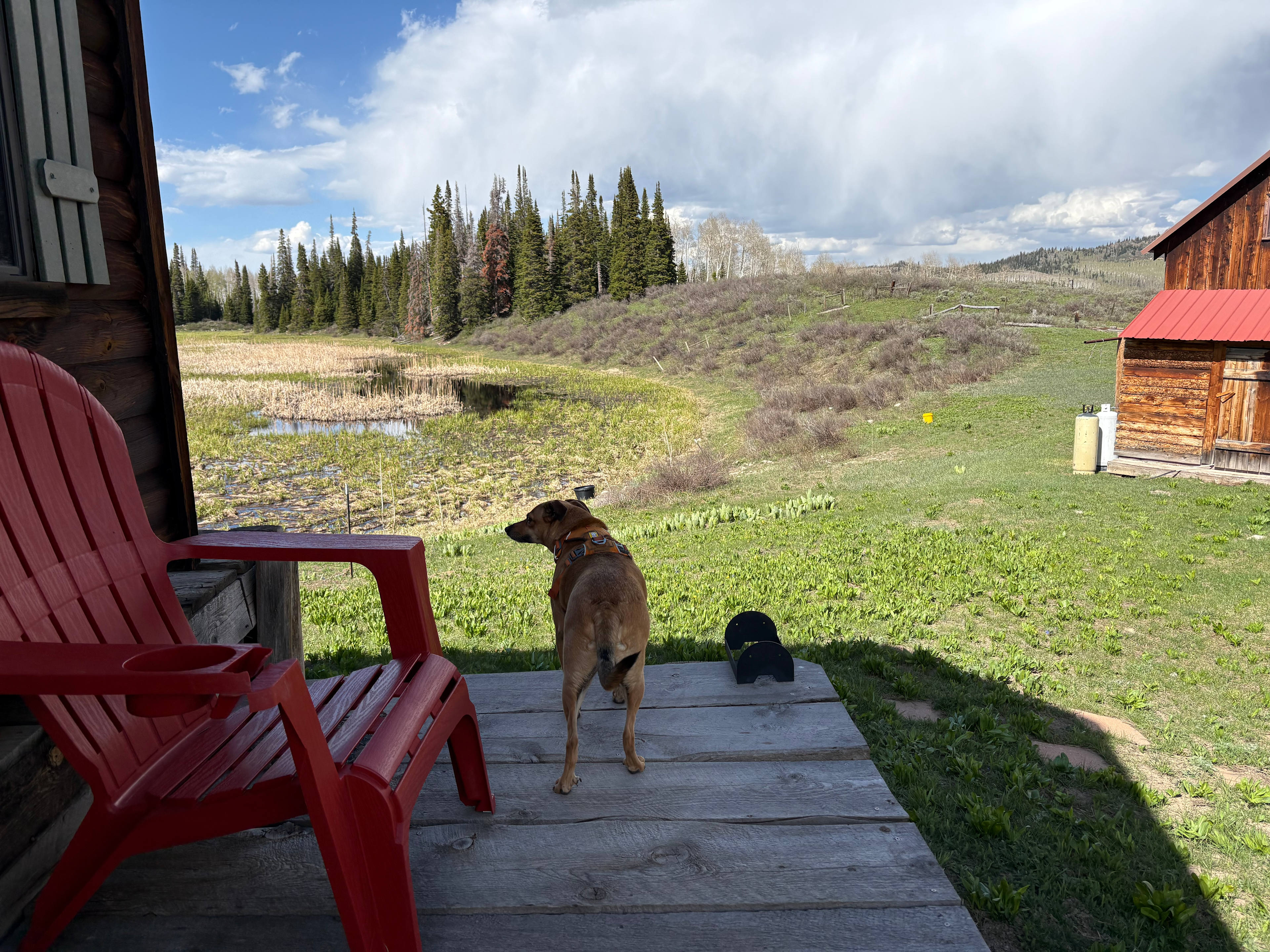 Bear Mountain Outfitters