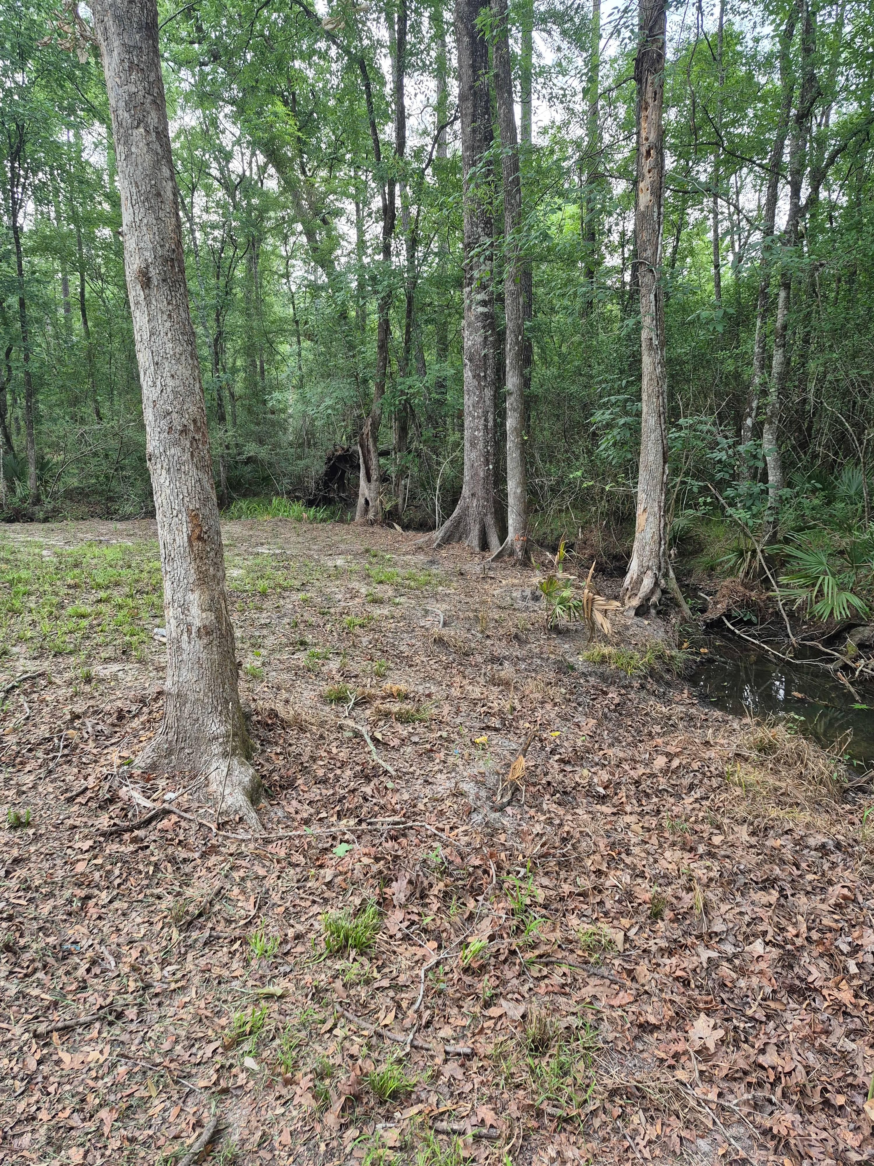 Persimmon creek farms