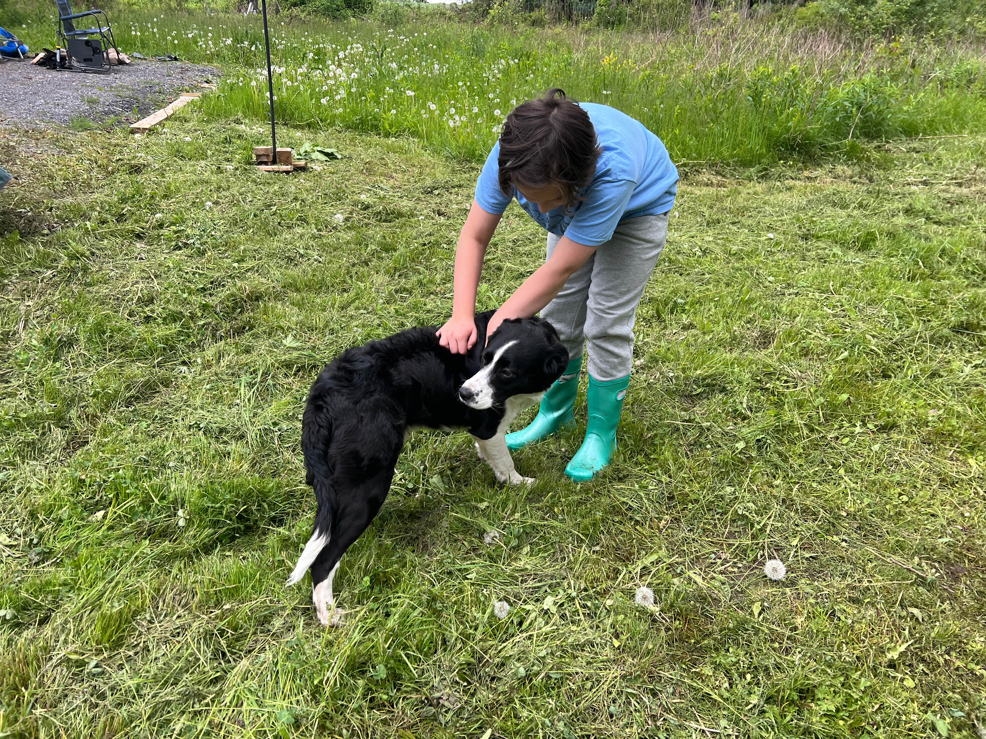 Crazy Goats Farm Camp