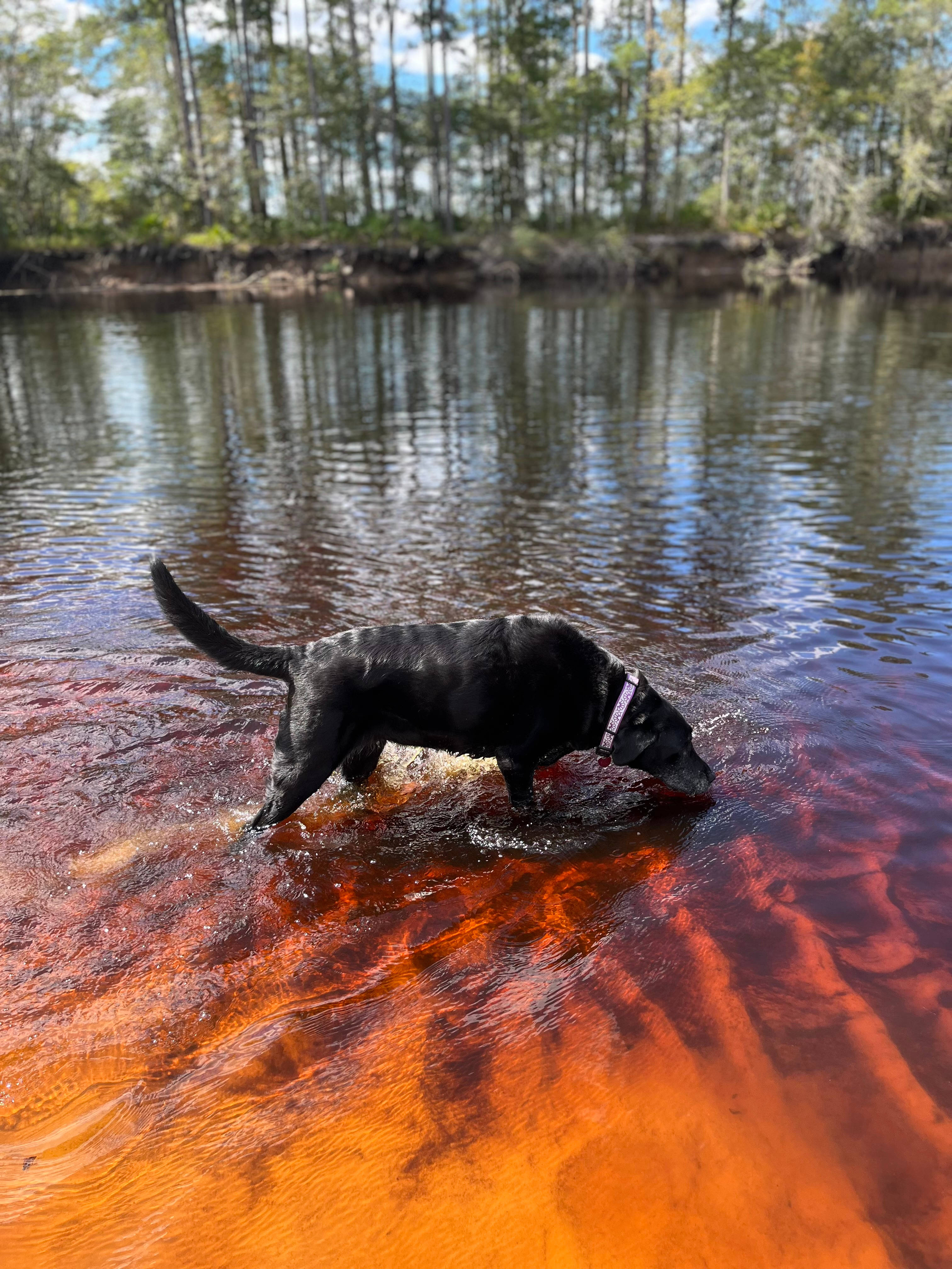 River Oak RV & Camp Site