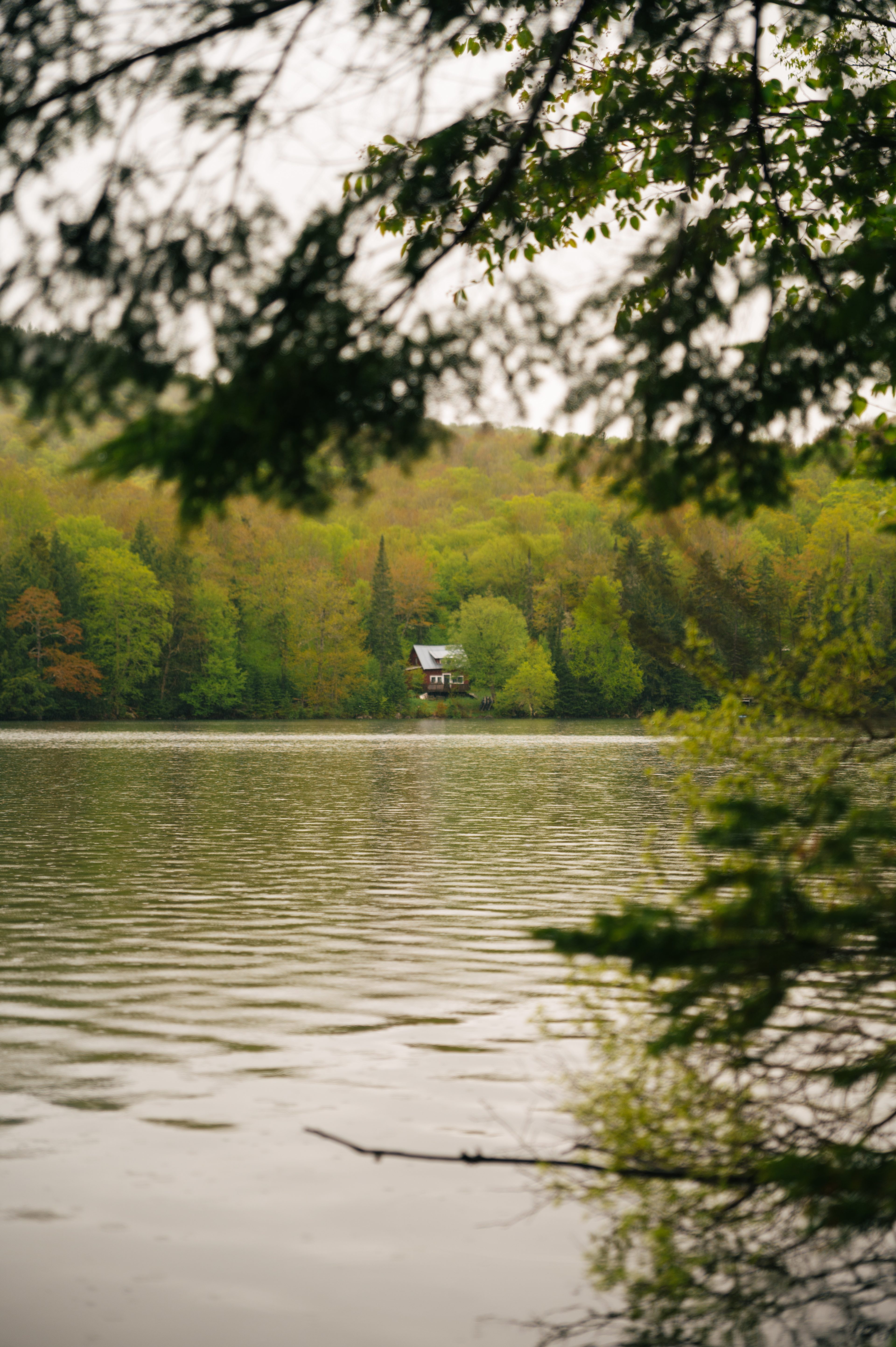 The Alcove at Martin's Pond