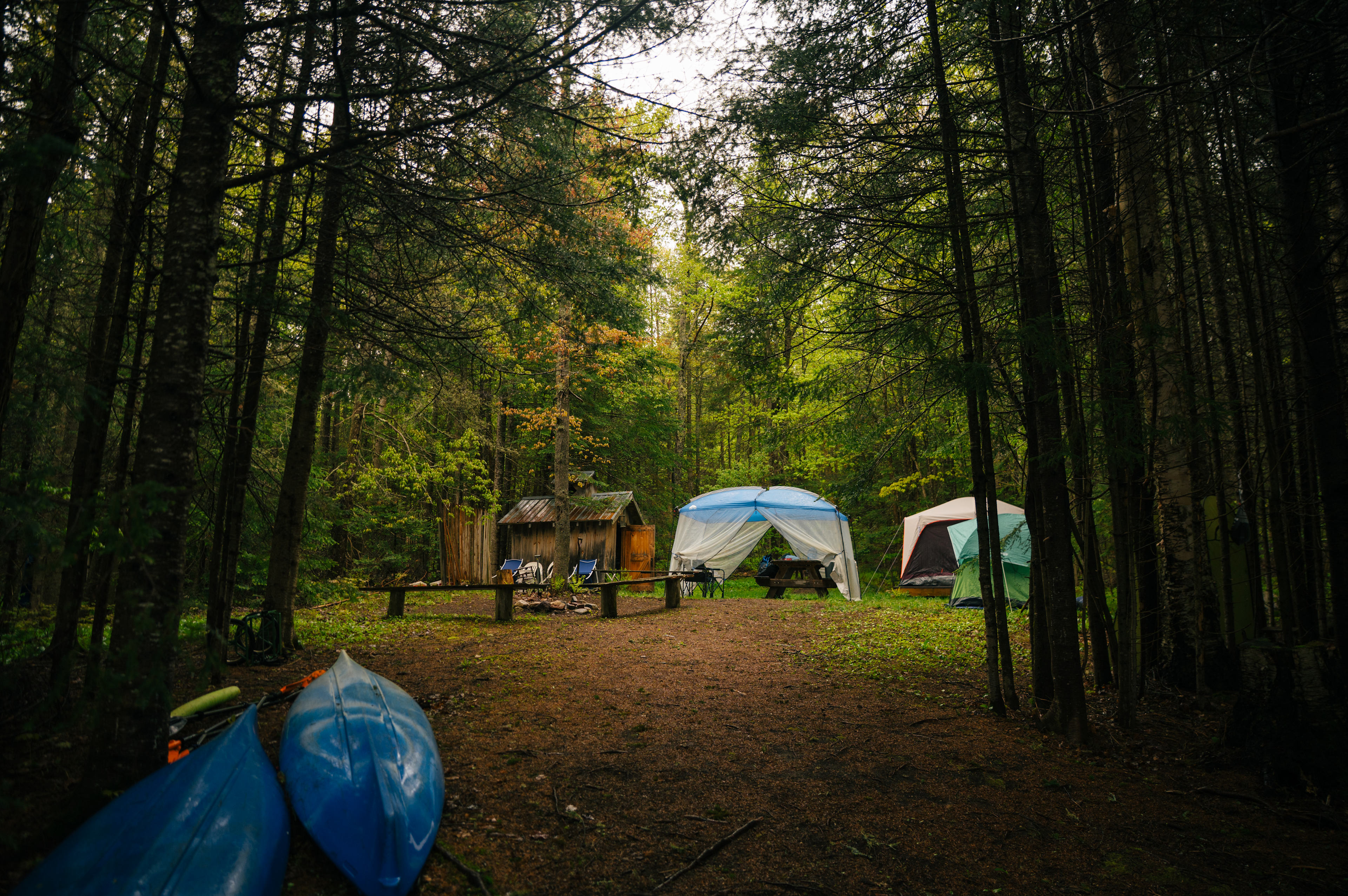 The Alcove at Martin's Pond