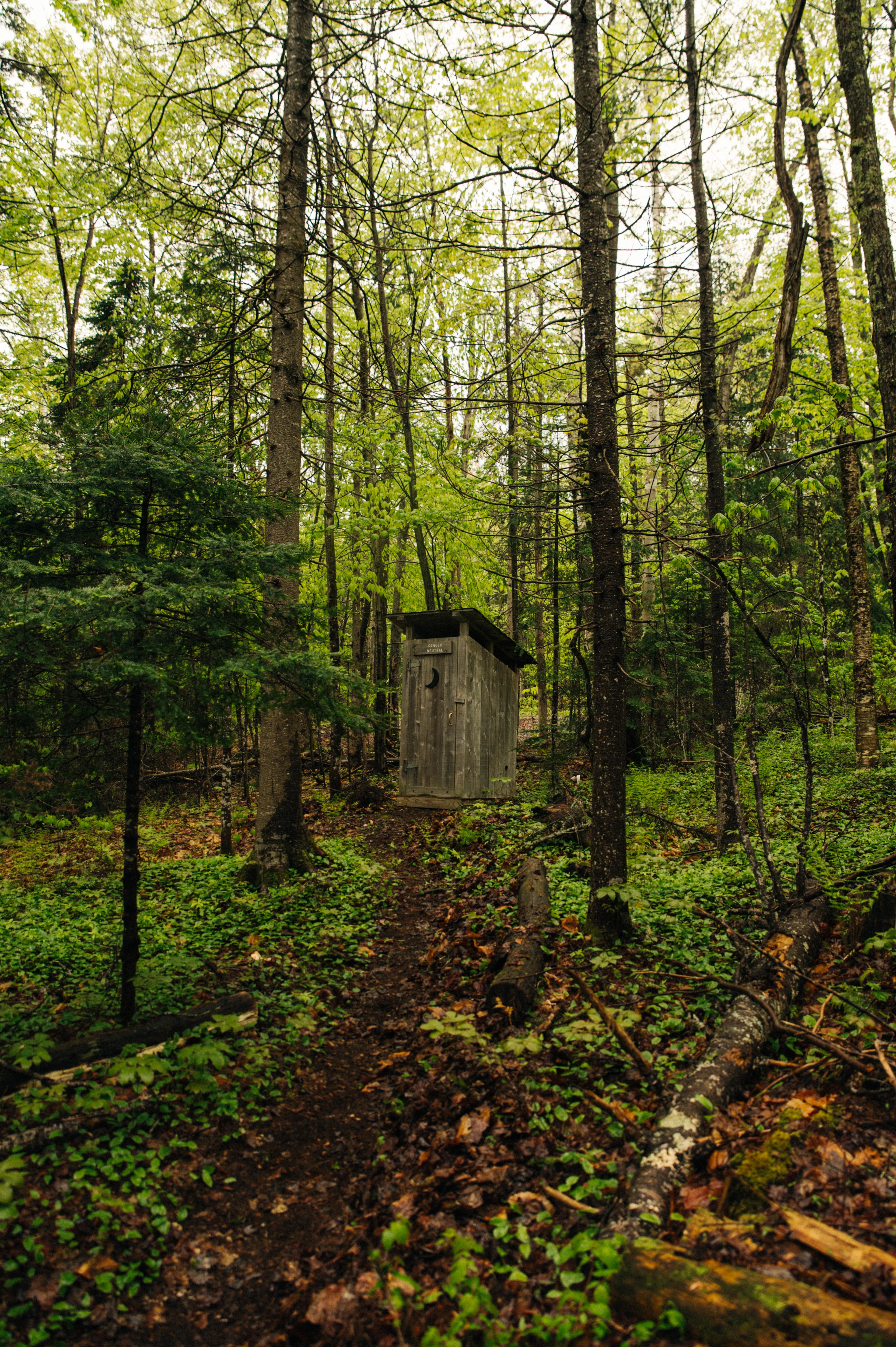 The Alcove at Martin's Pond