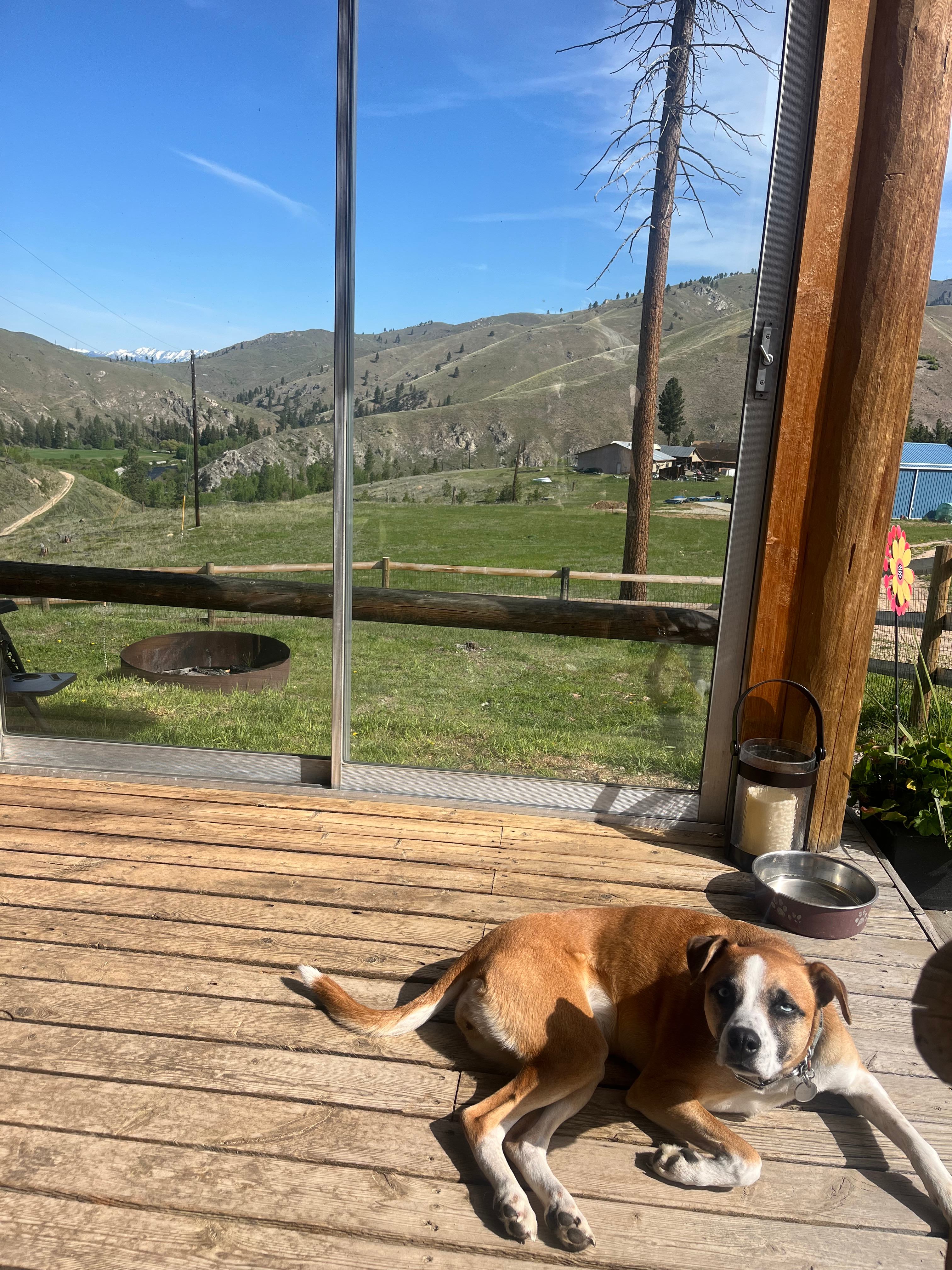 Oxen-Le-Fields Montana