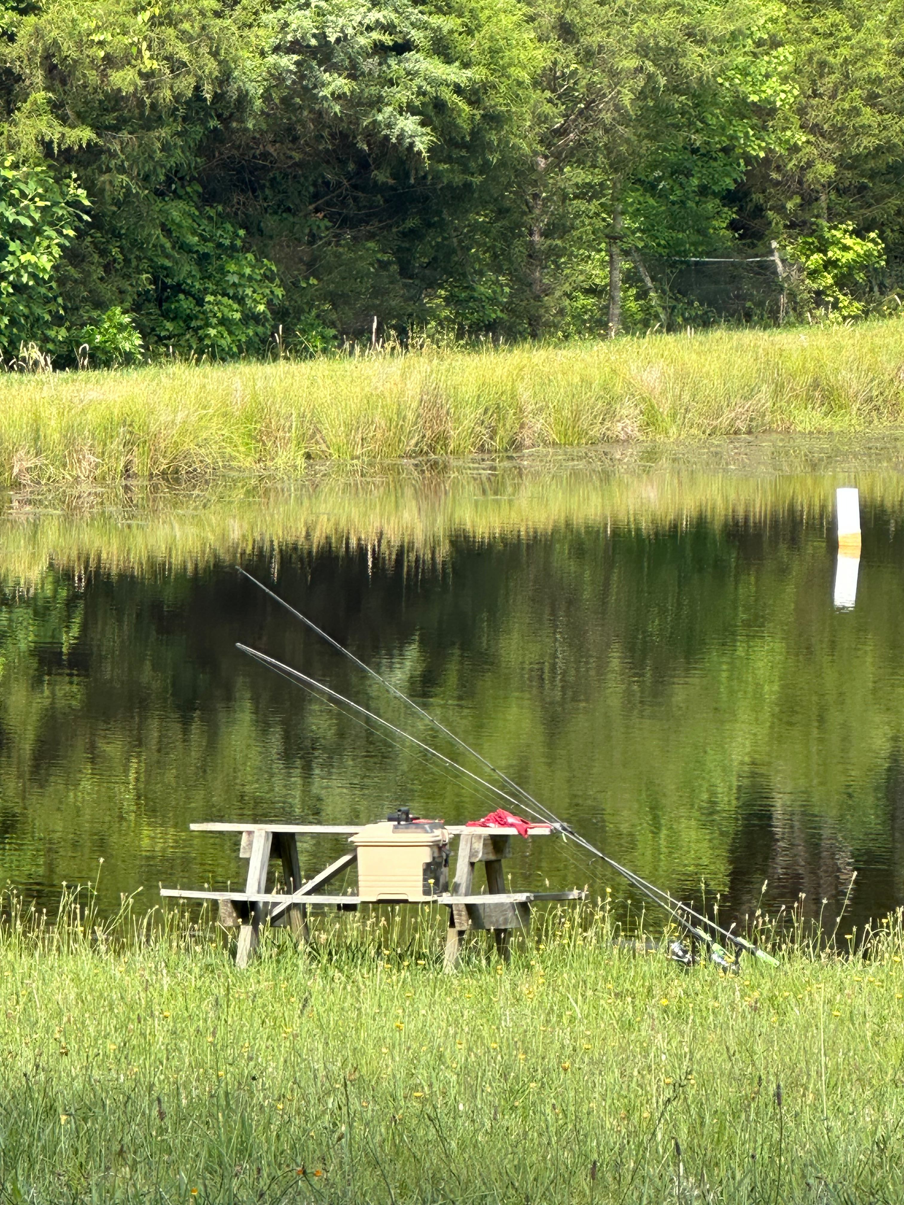 Private meadow and pond