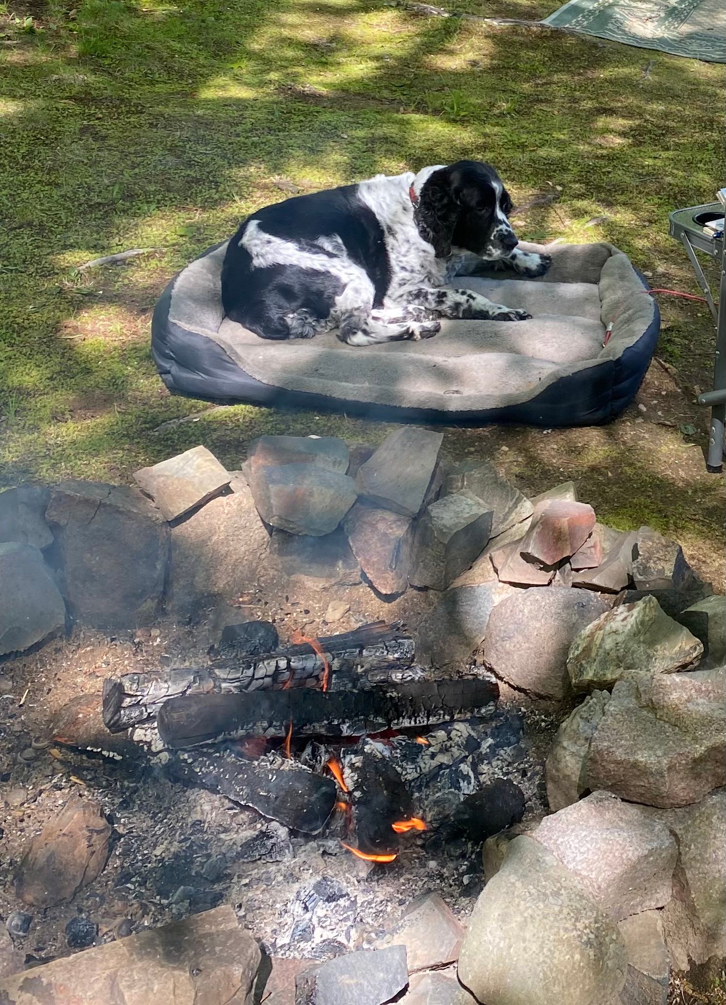 Pinederosa Campground