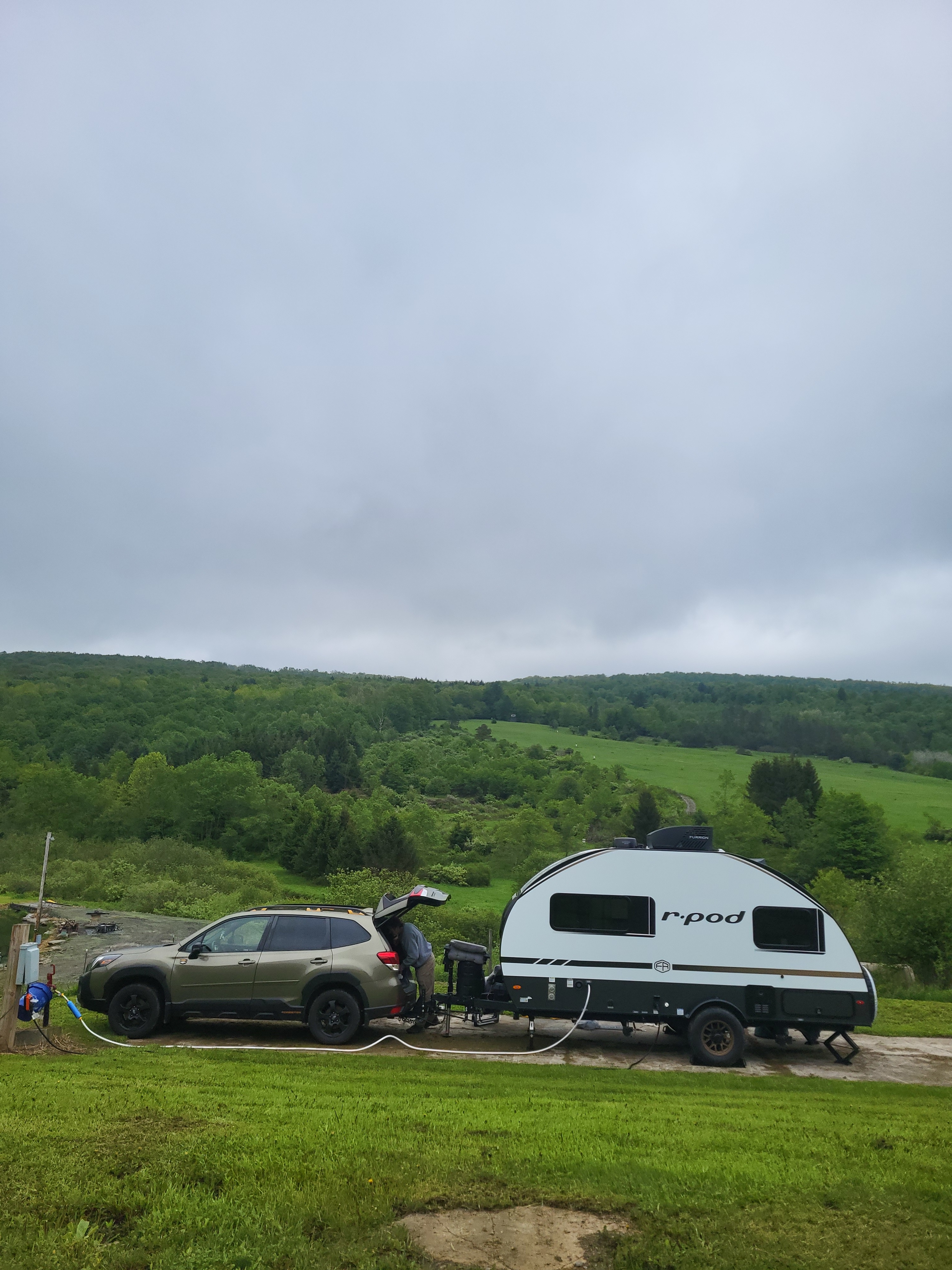 Mountain Hollow Farm and B&B