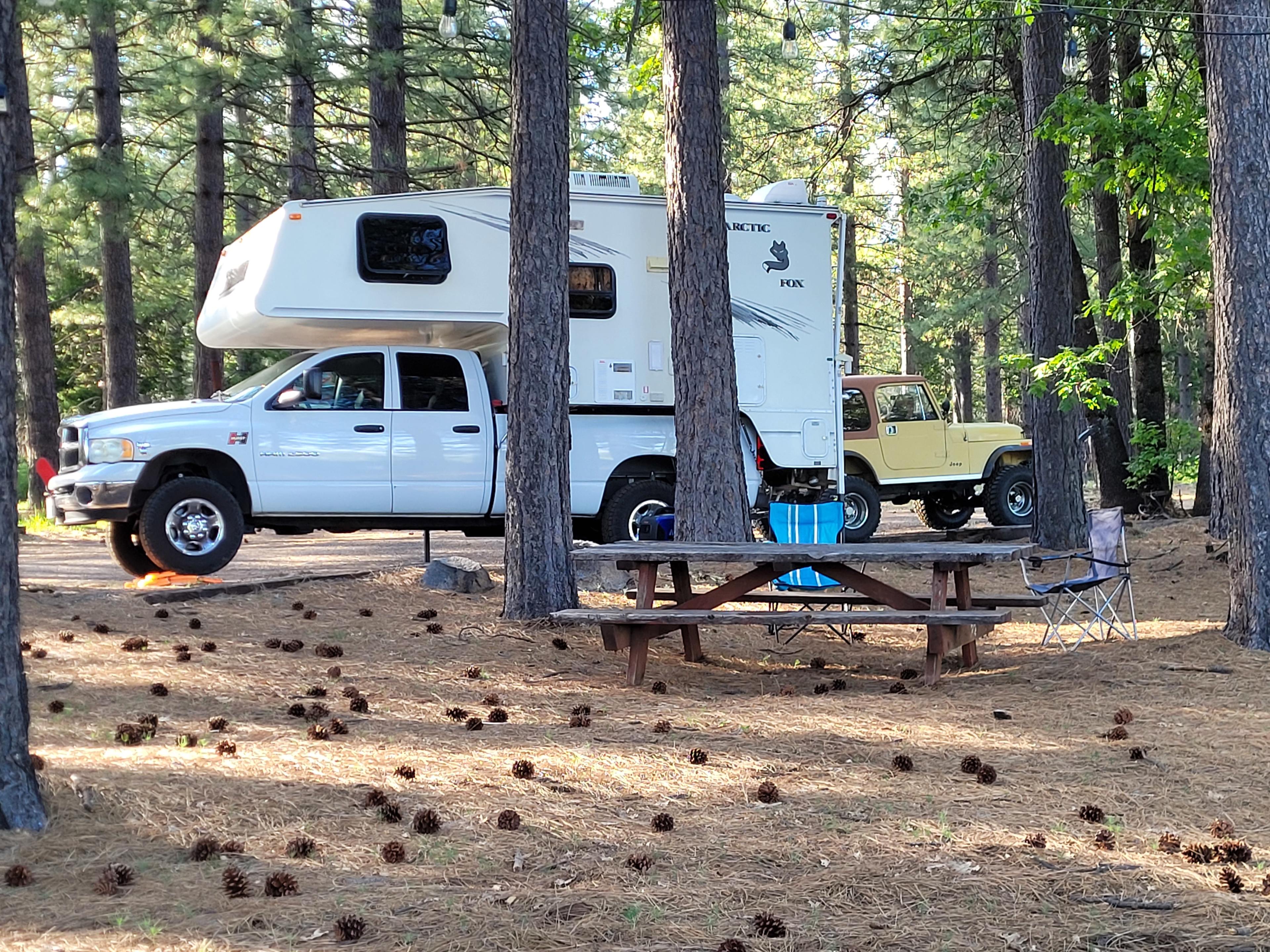 Snowy Peaks Christmas Tree Farm