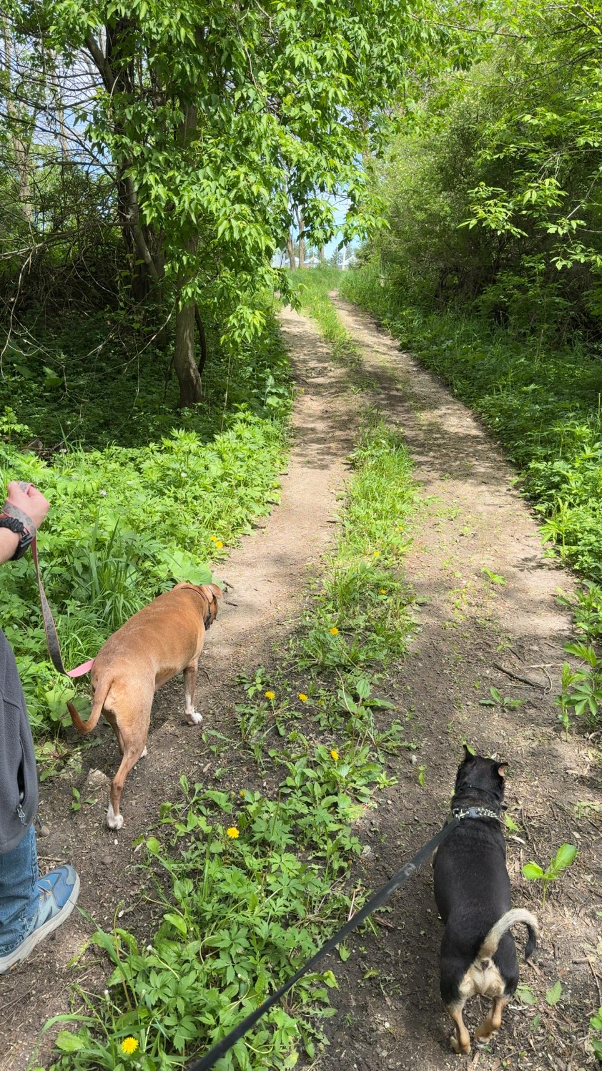 Pine River Campsites