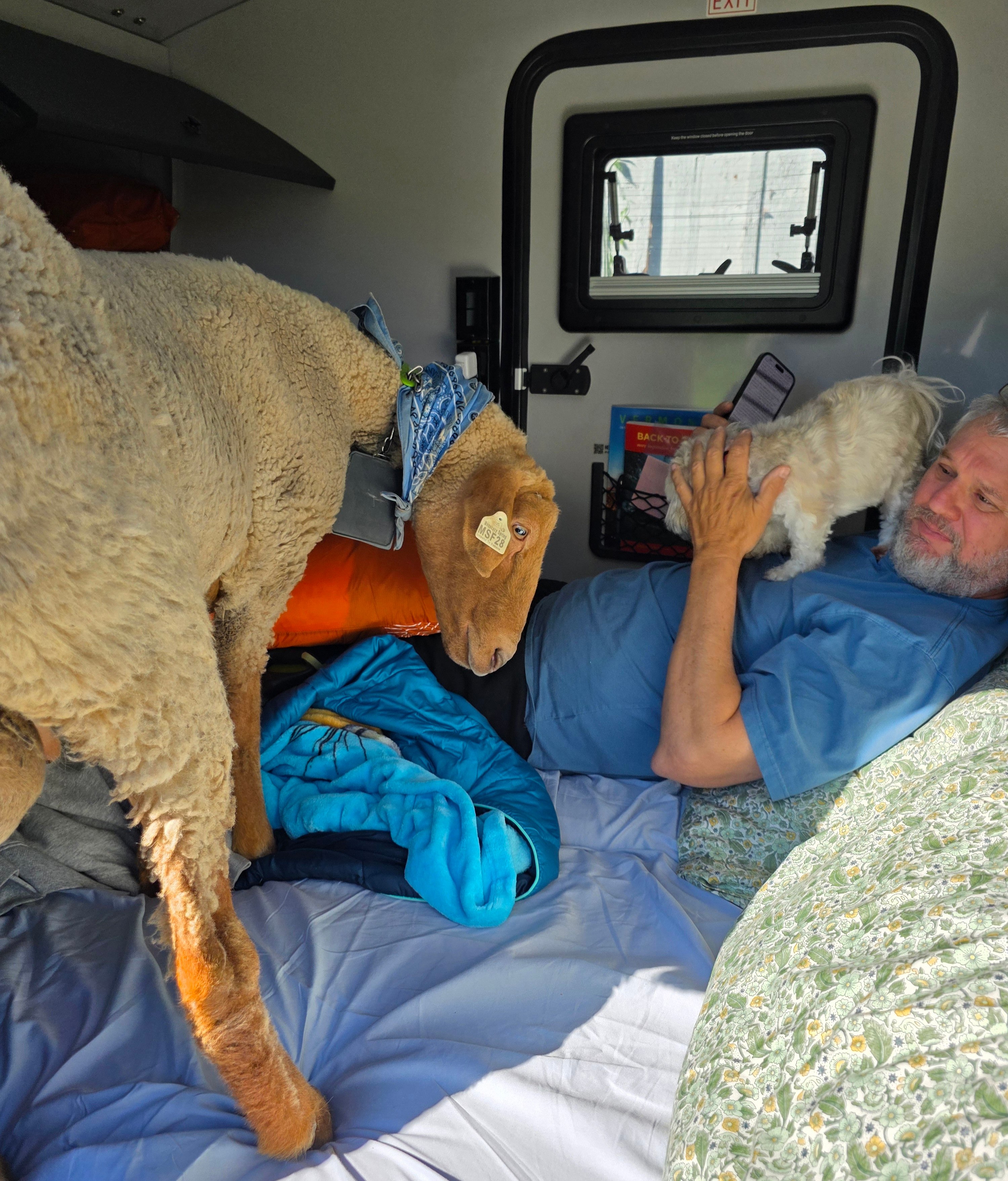 Redemption Springs Farm