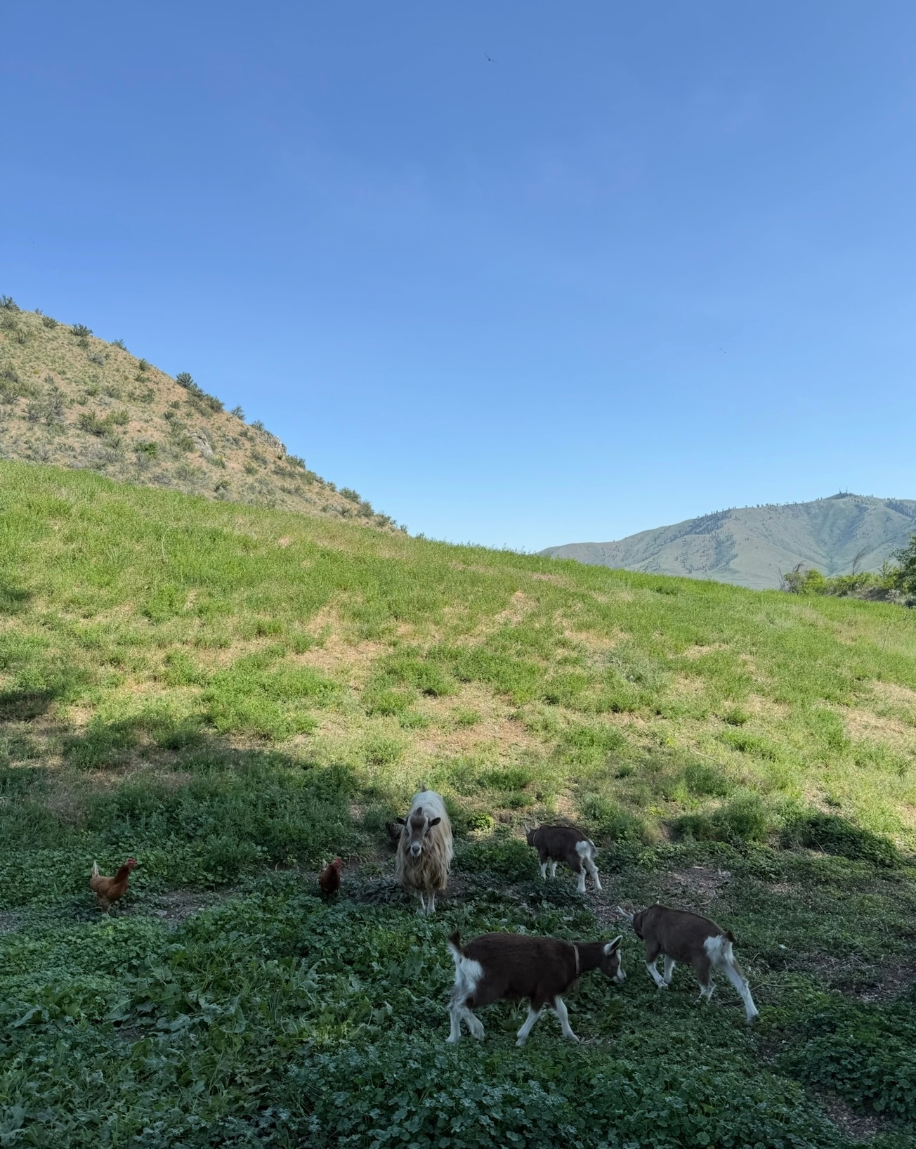 Hanford Reach National Monument