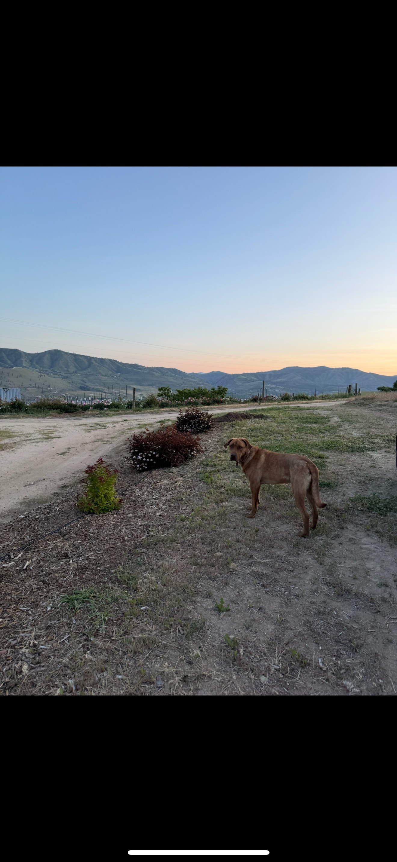 Saddle Mountain Campground