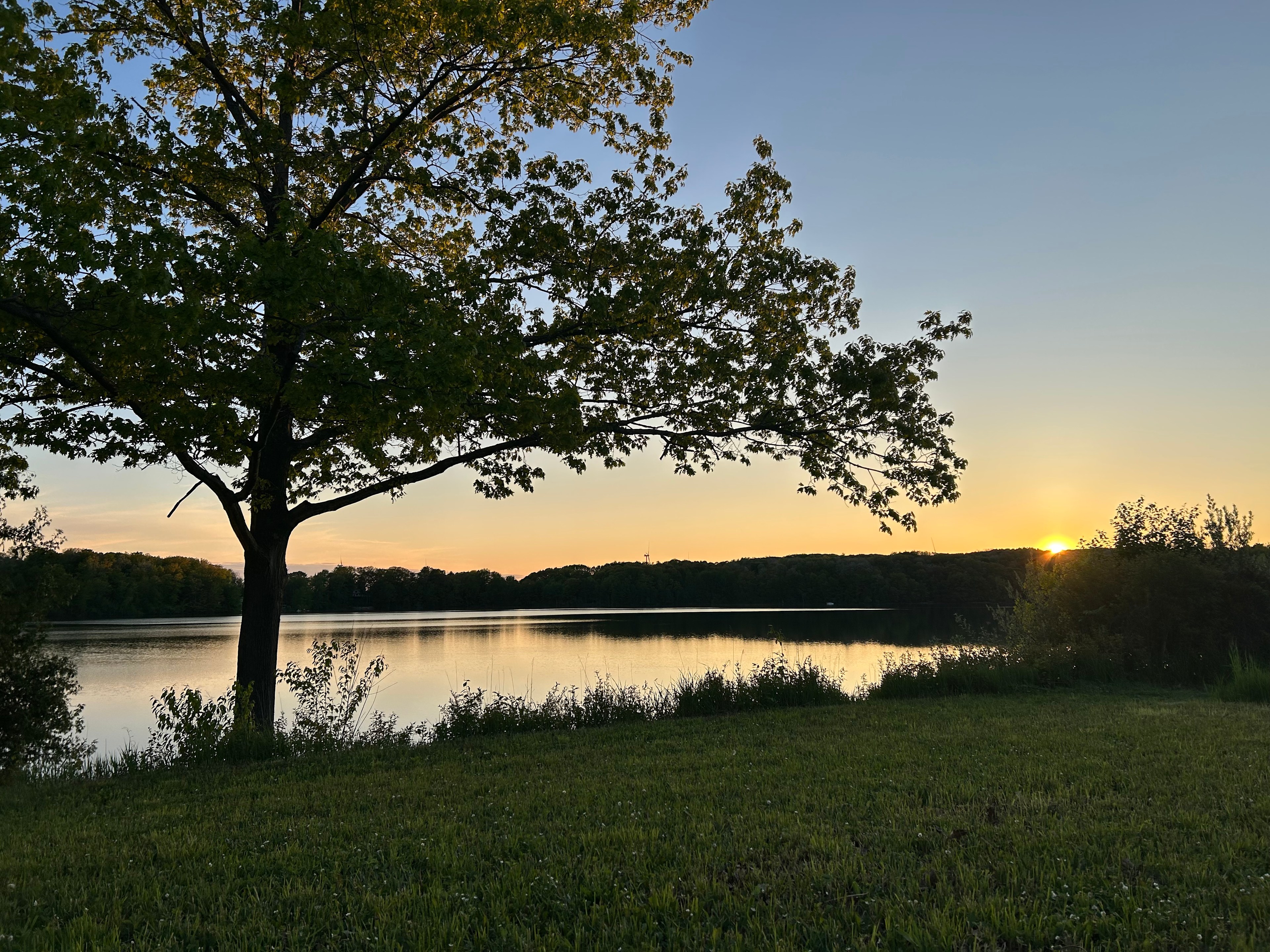 Oxbow Lake Oasis