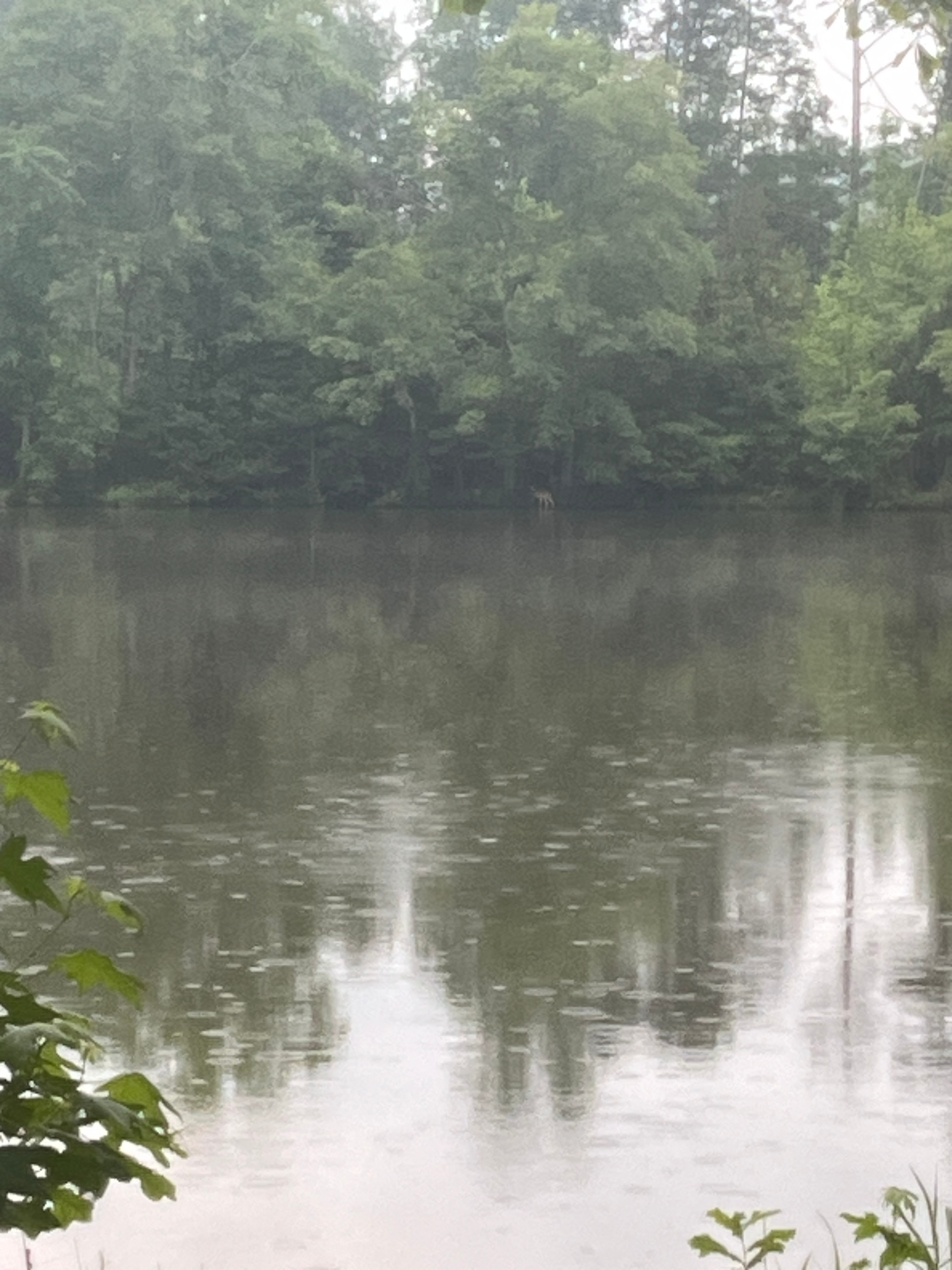 Chippokes Plantation State Park