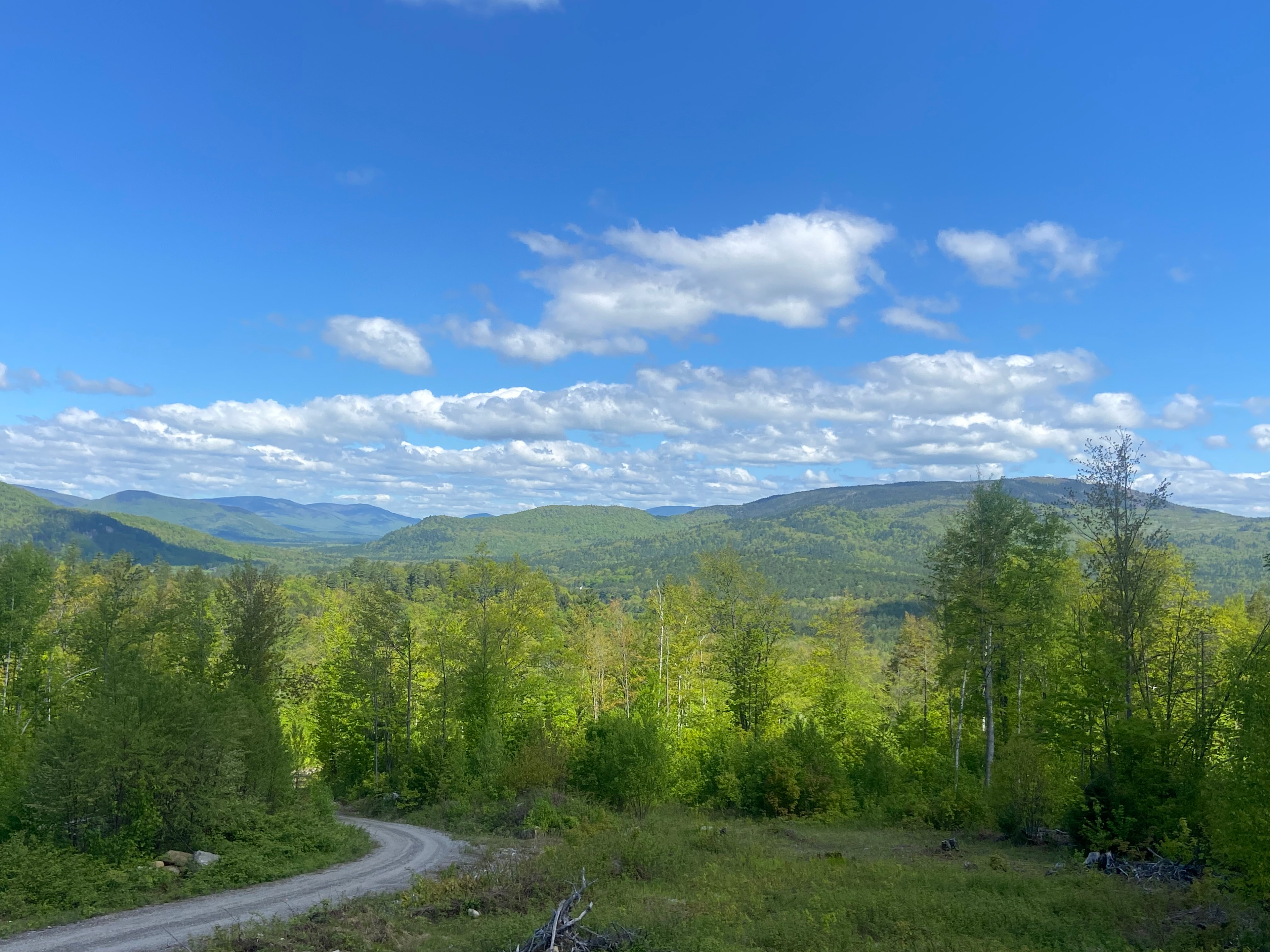 Beautiful Views + 62 Acres For You