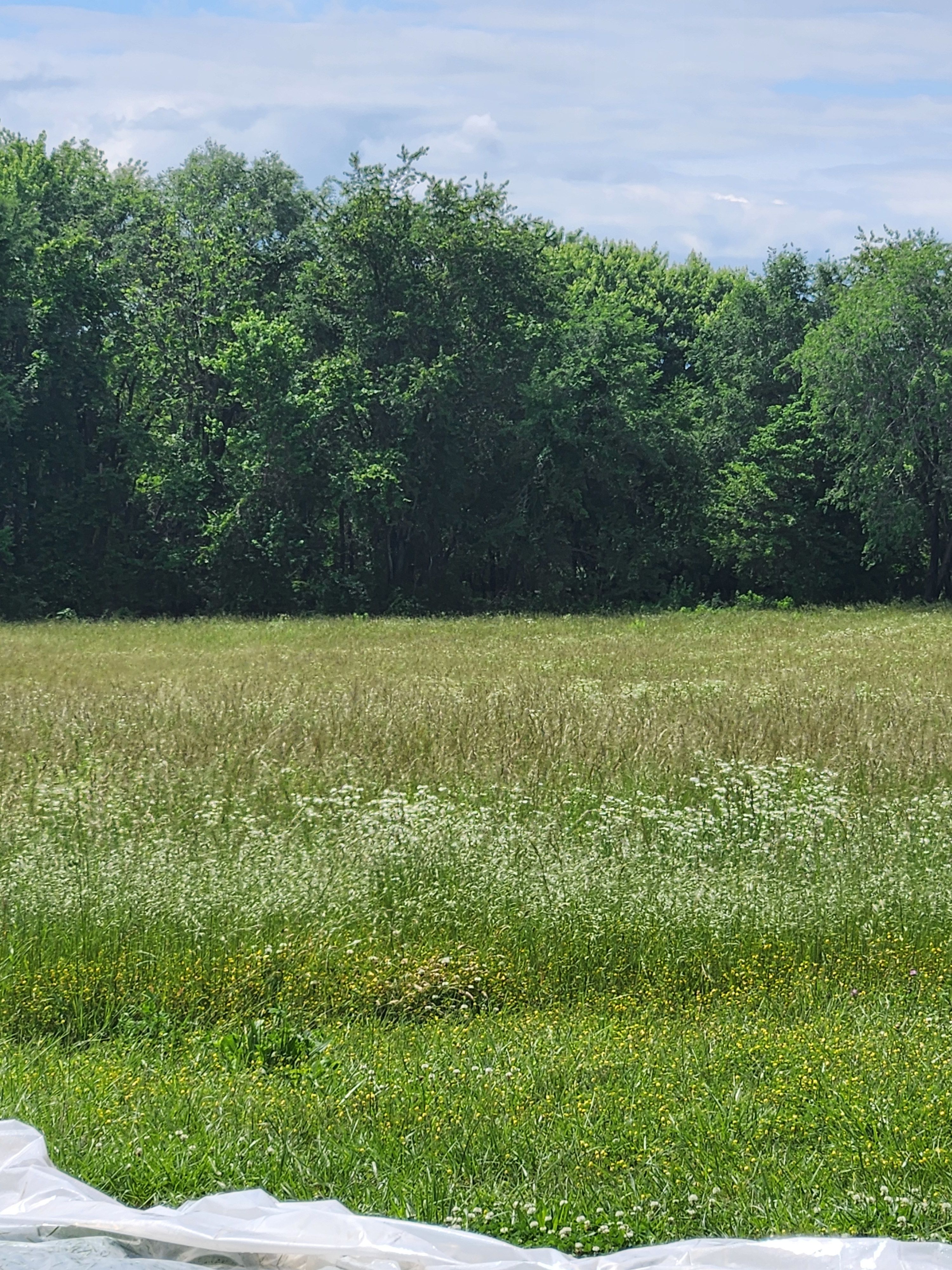 Bluestone Natural Farms