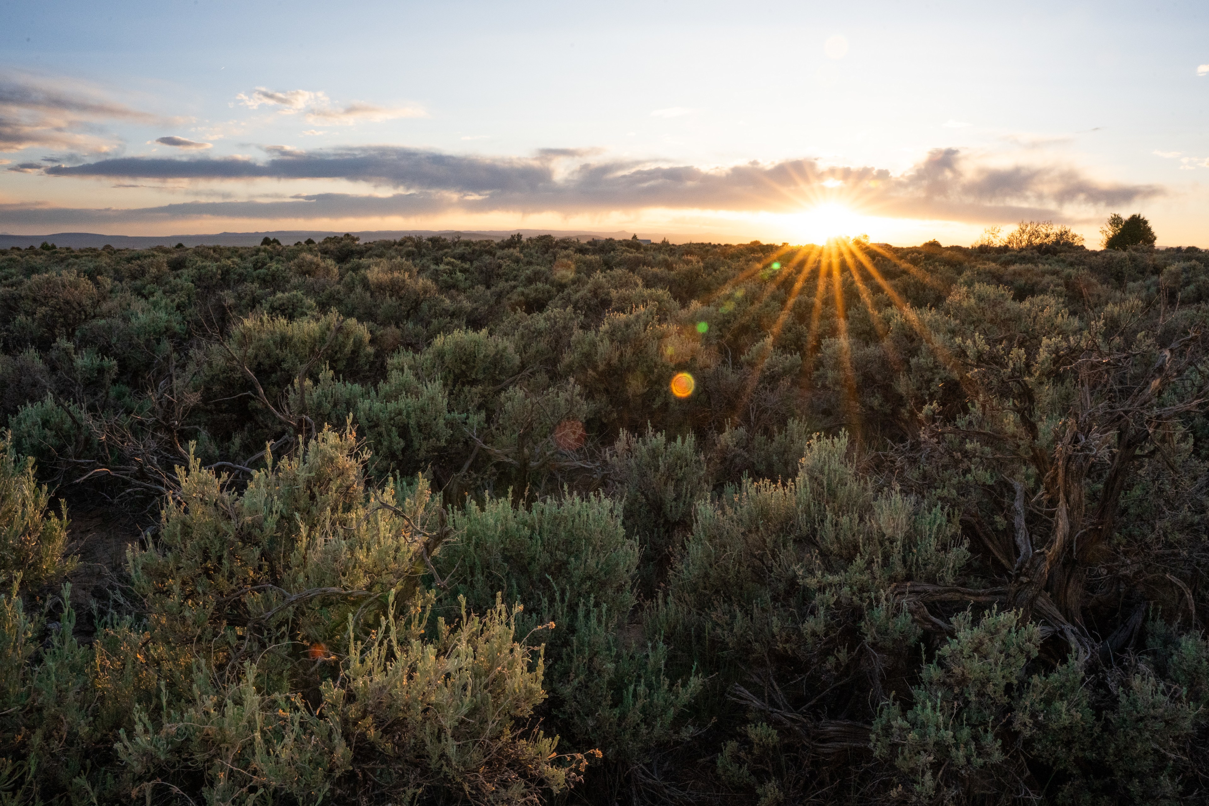 Beautiful sunset over the sagebrush