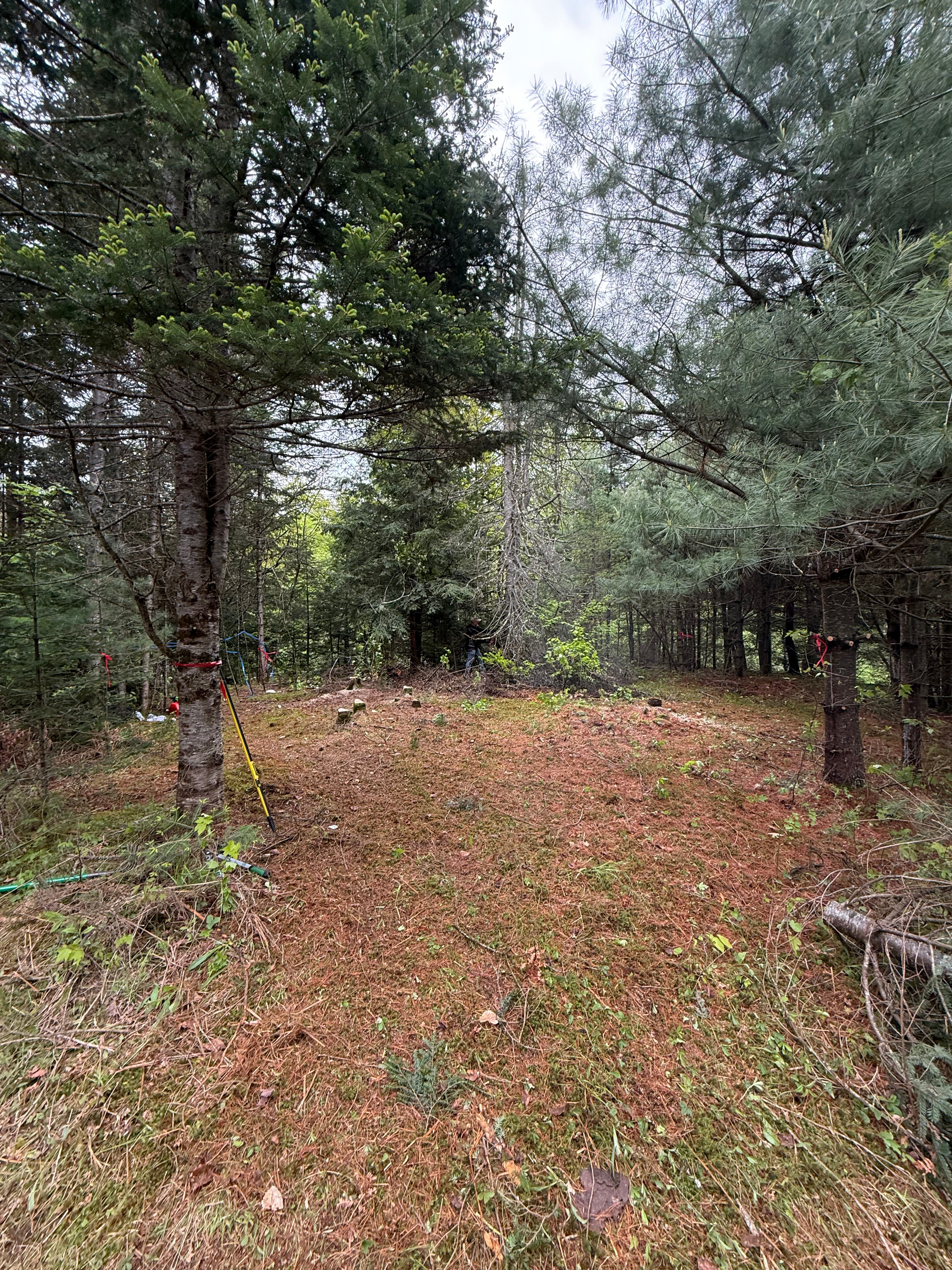 Antonio’s Acres