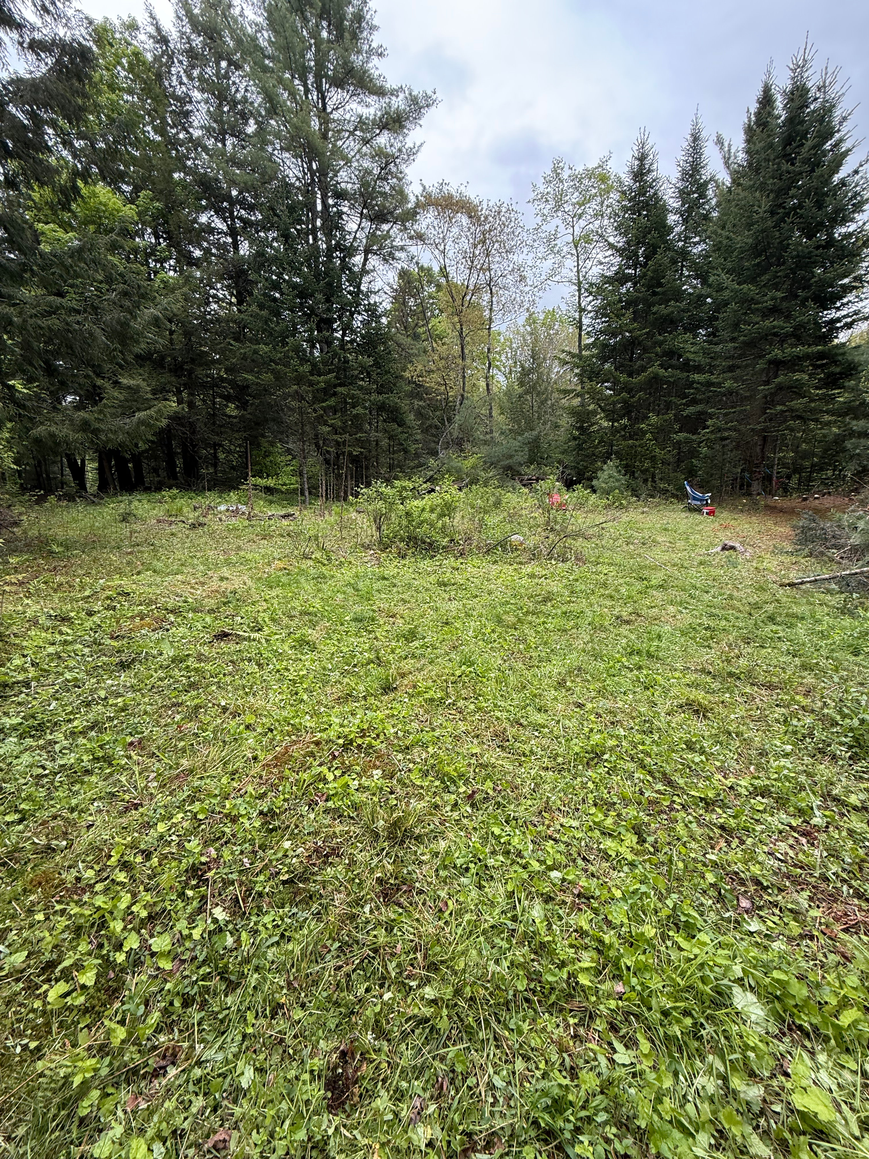 Antonio’s Acres