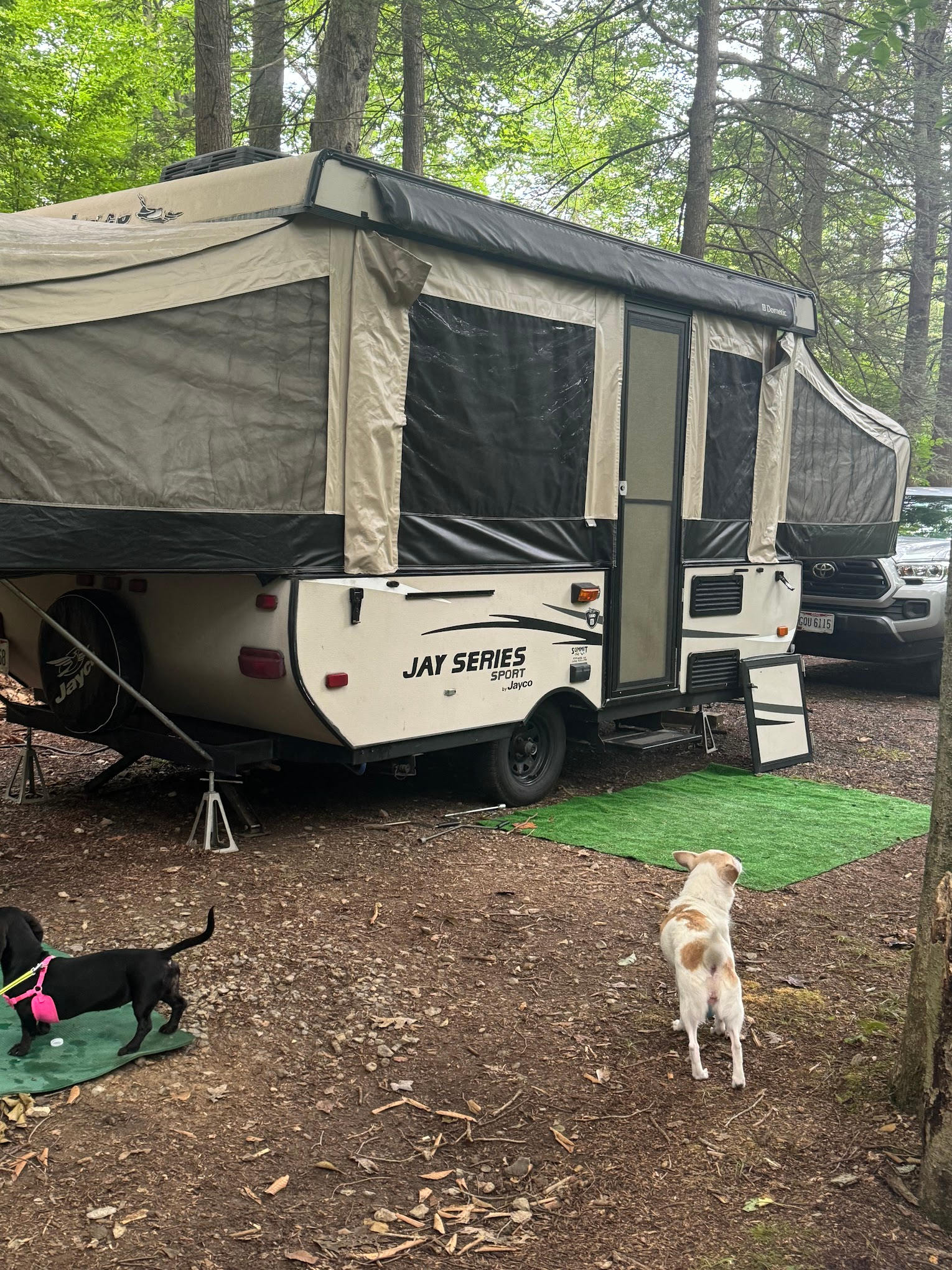 Wilderness Campground