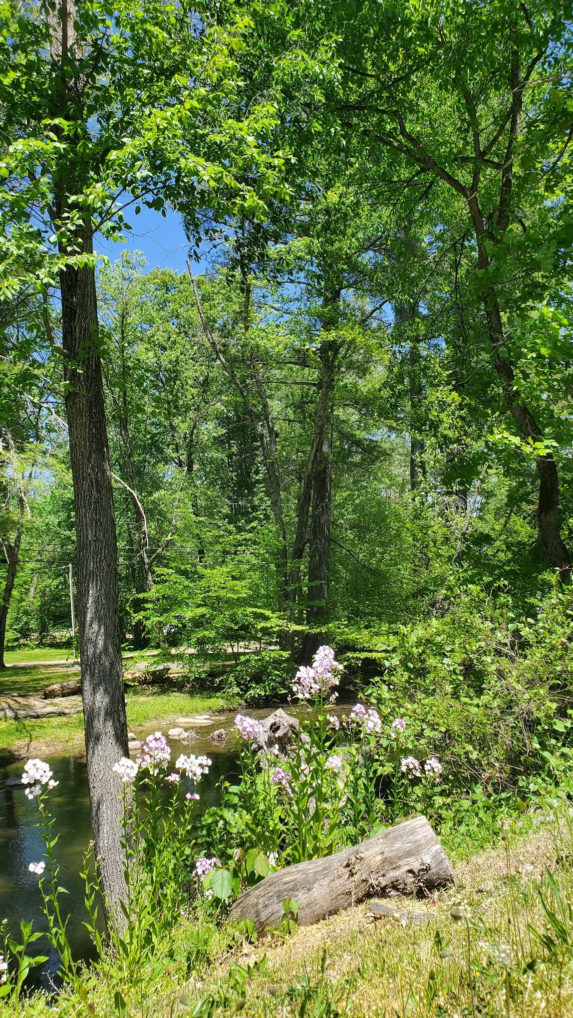Rondout Valley RV Campground