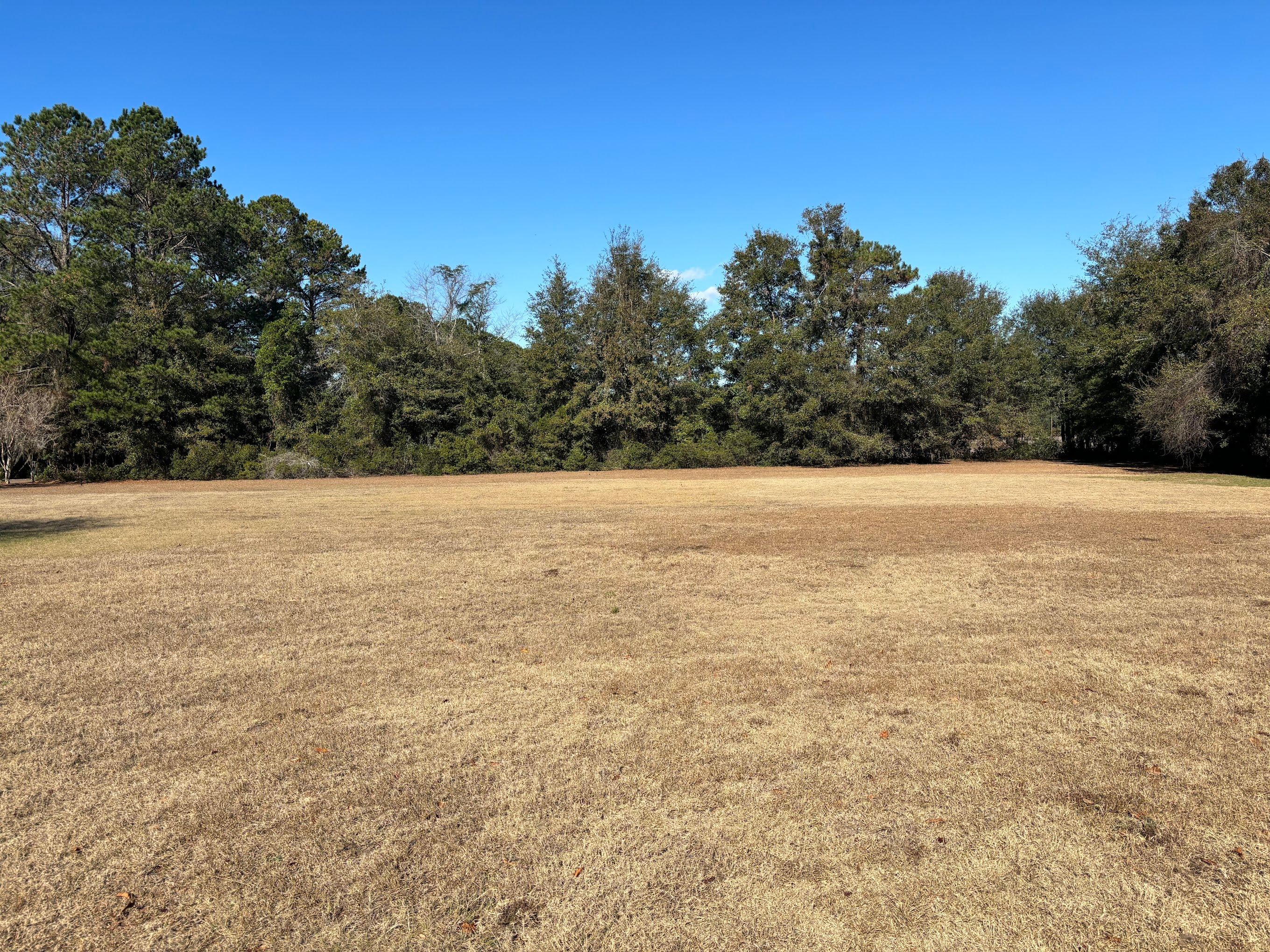 Tuck In the Wood Campgrounds