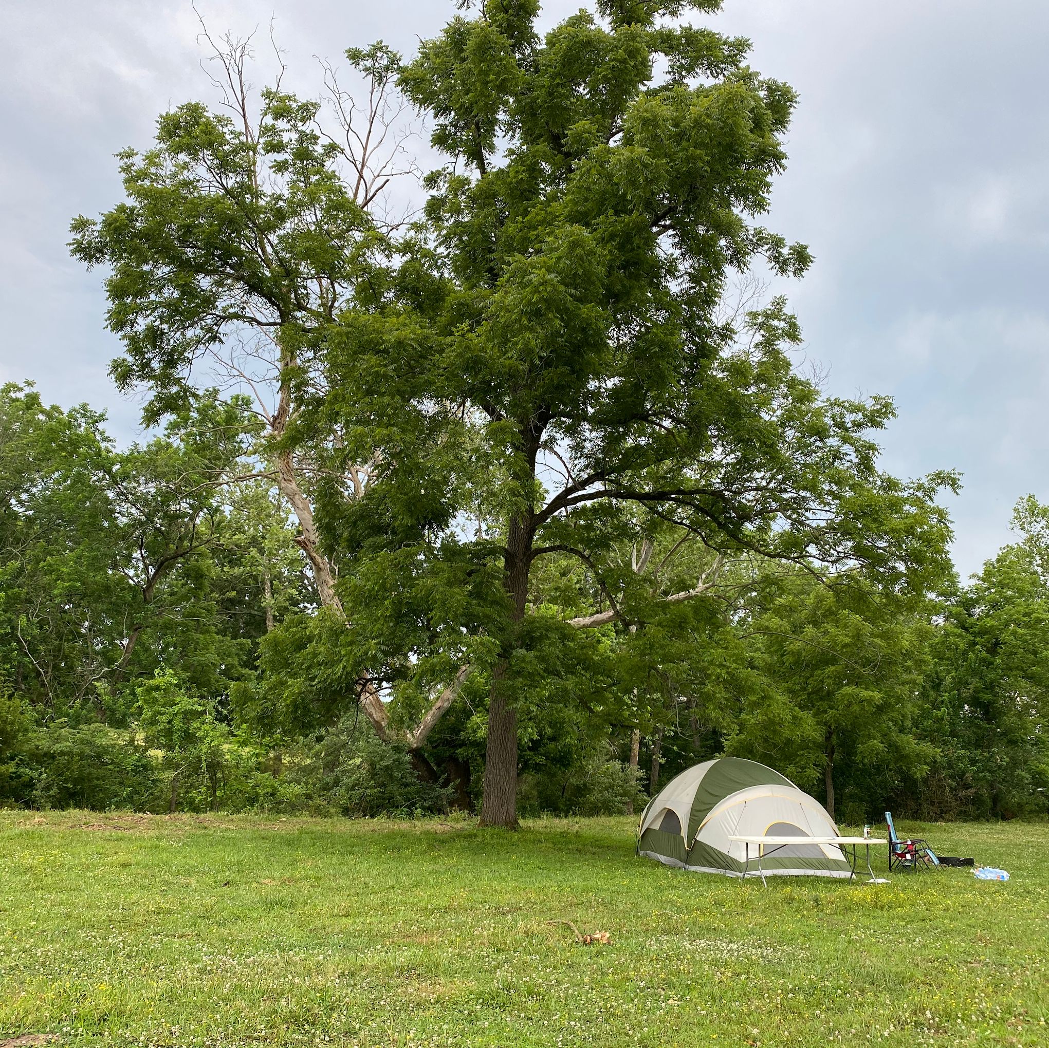 Ozark Farms Family Campground and RV Park