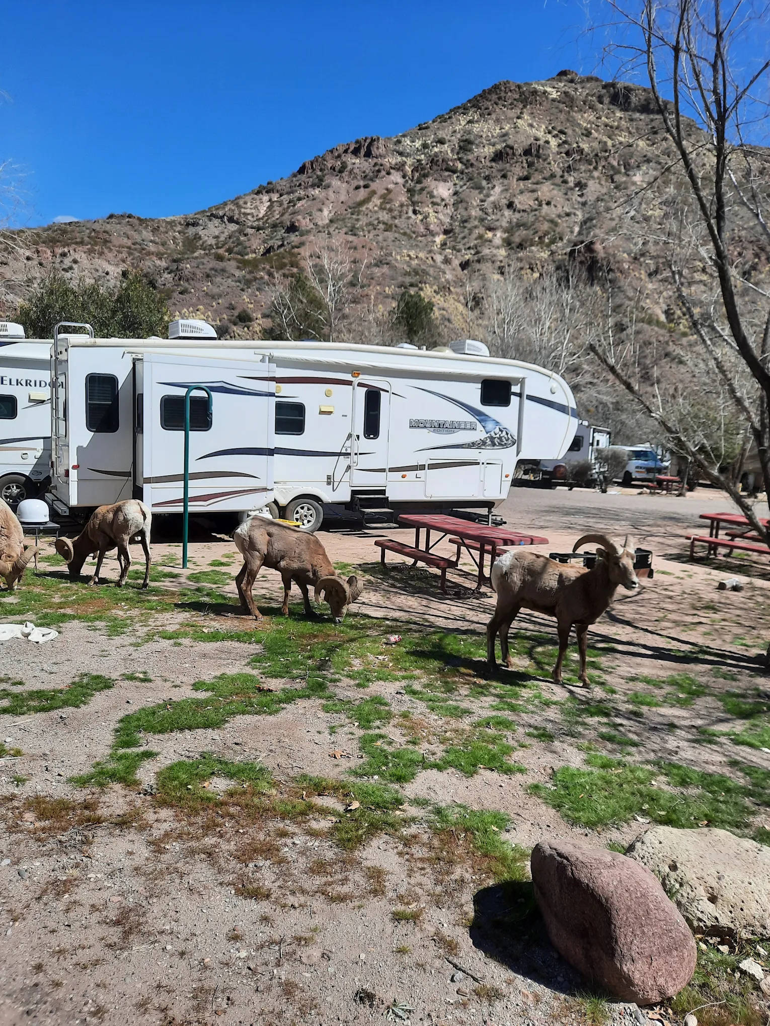 North Clifton RV Park