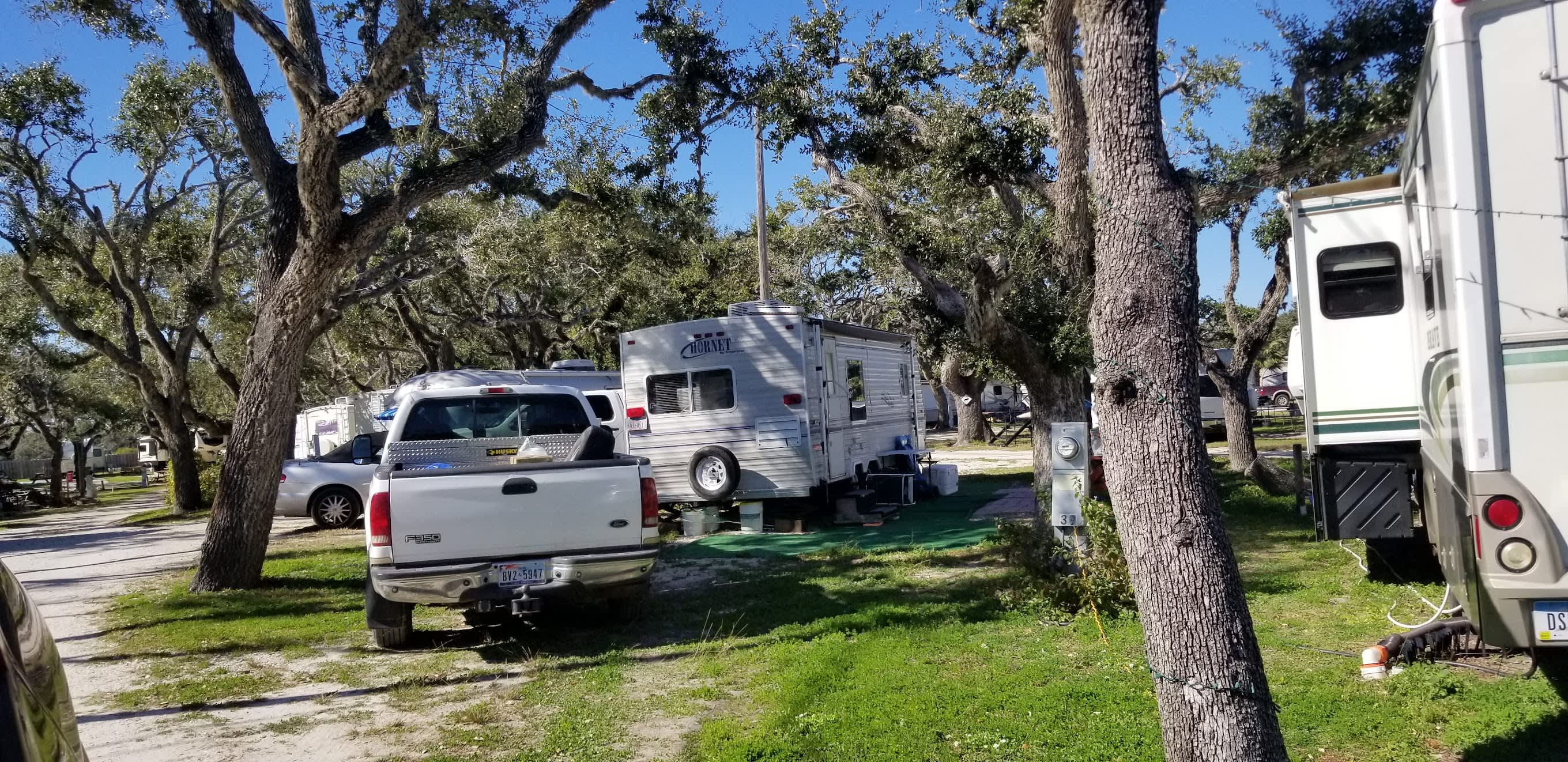 Sandollar Resort and RV Park