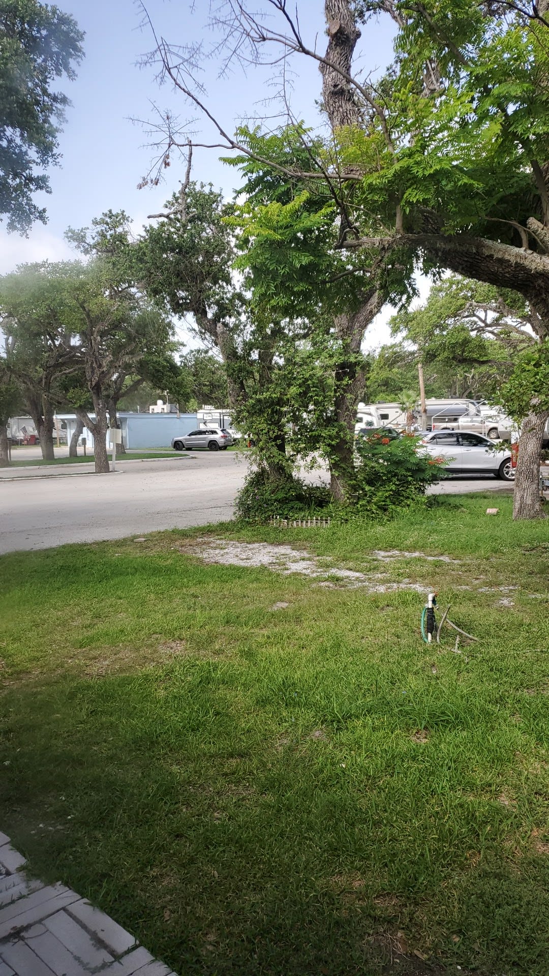 Sandollar Resort and RV Park