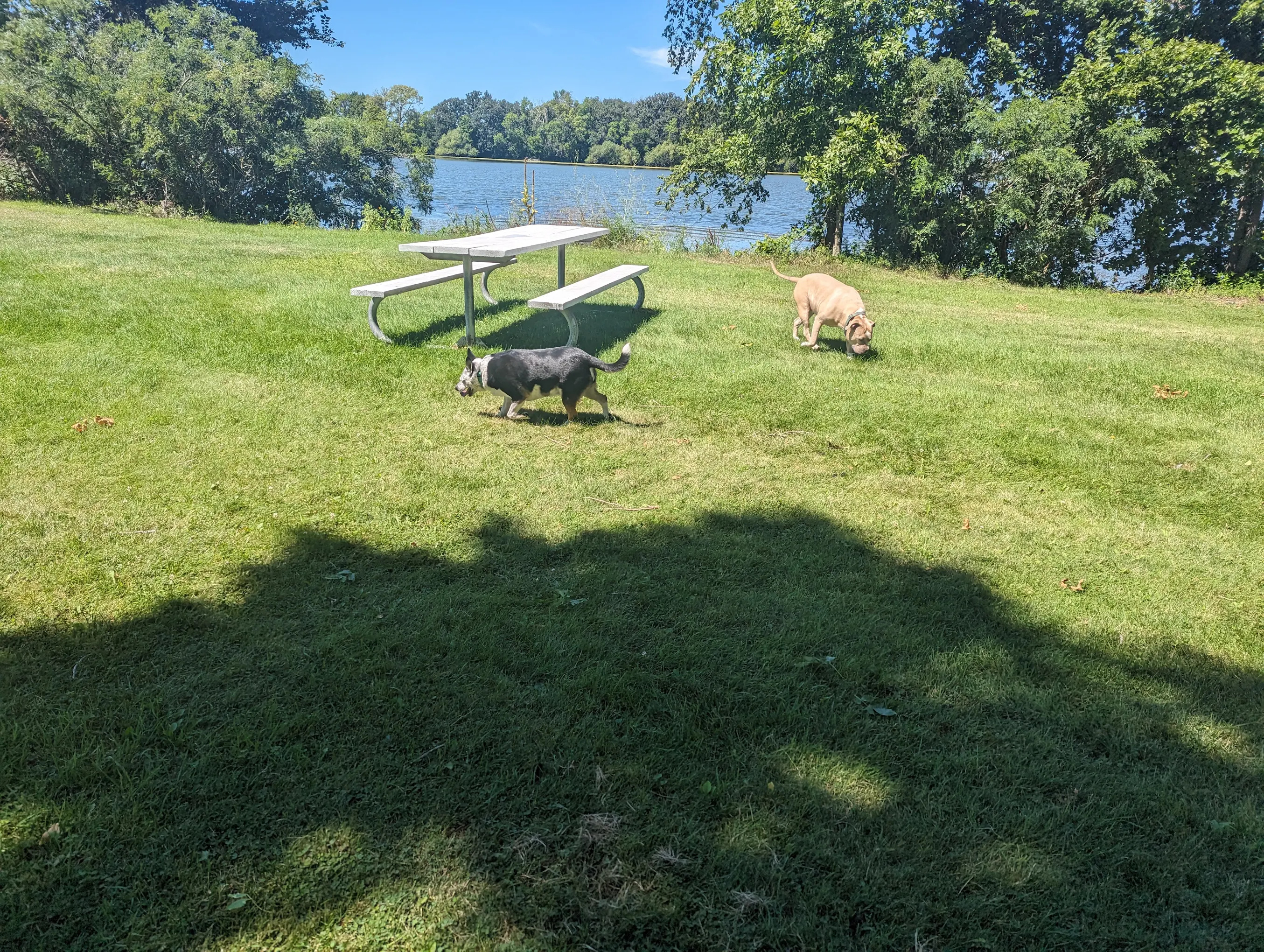 Pihls Park