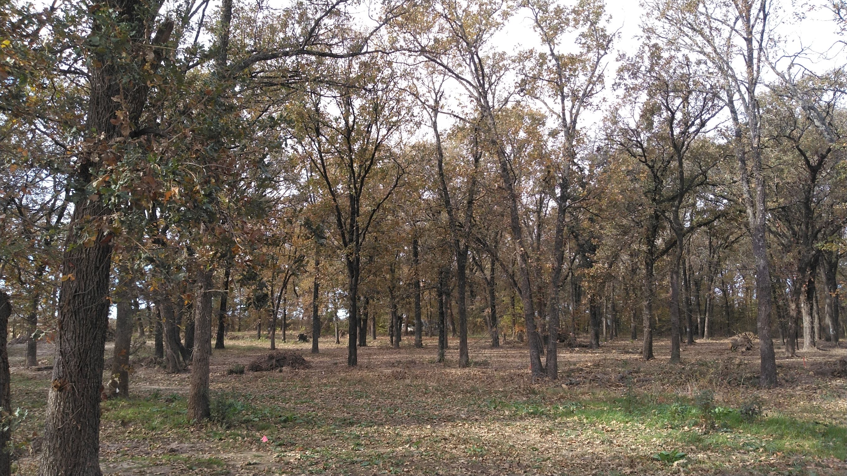 The Lazy Frog RV Park