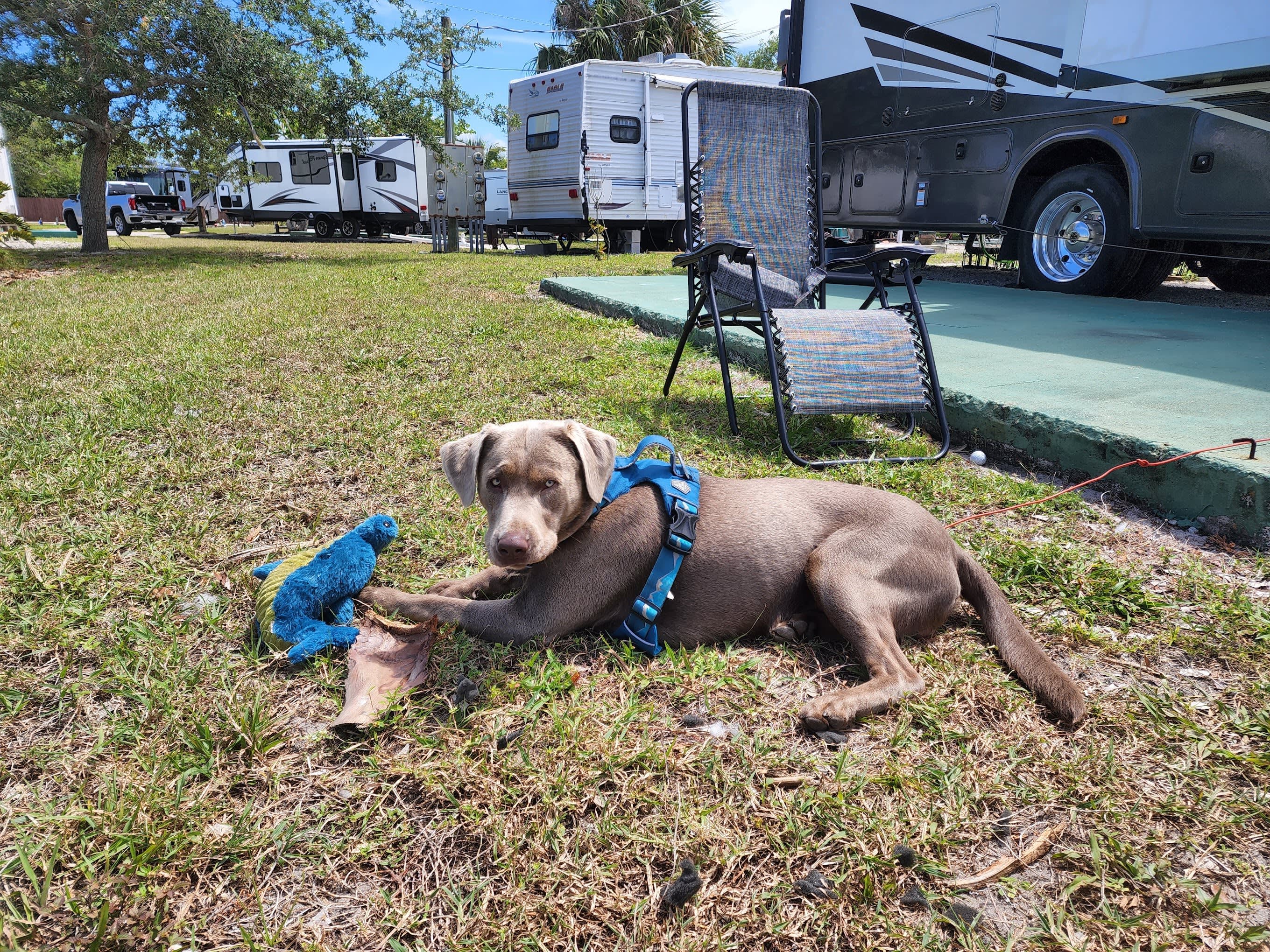 Floridays RV Park