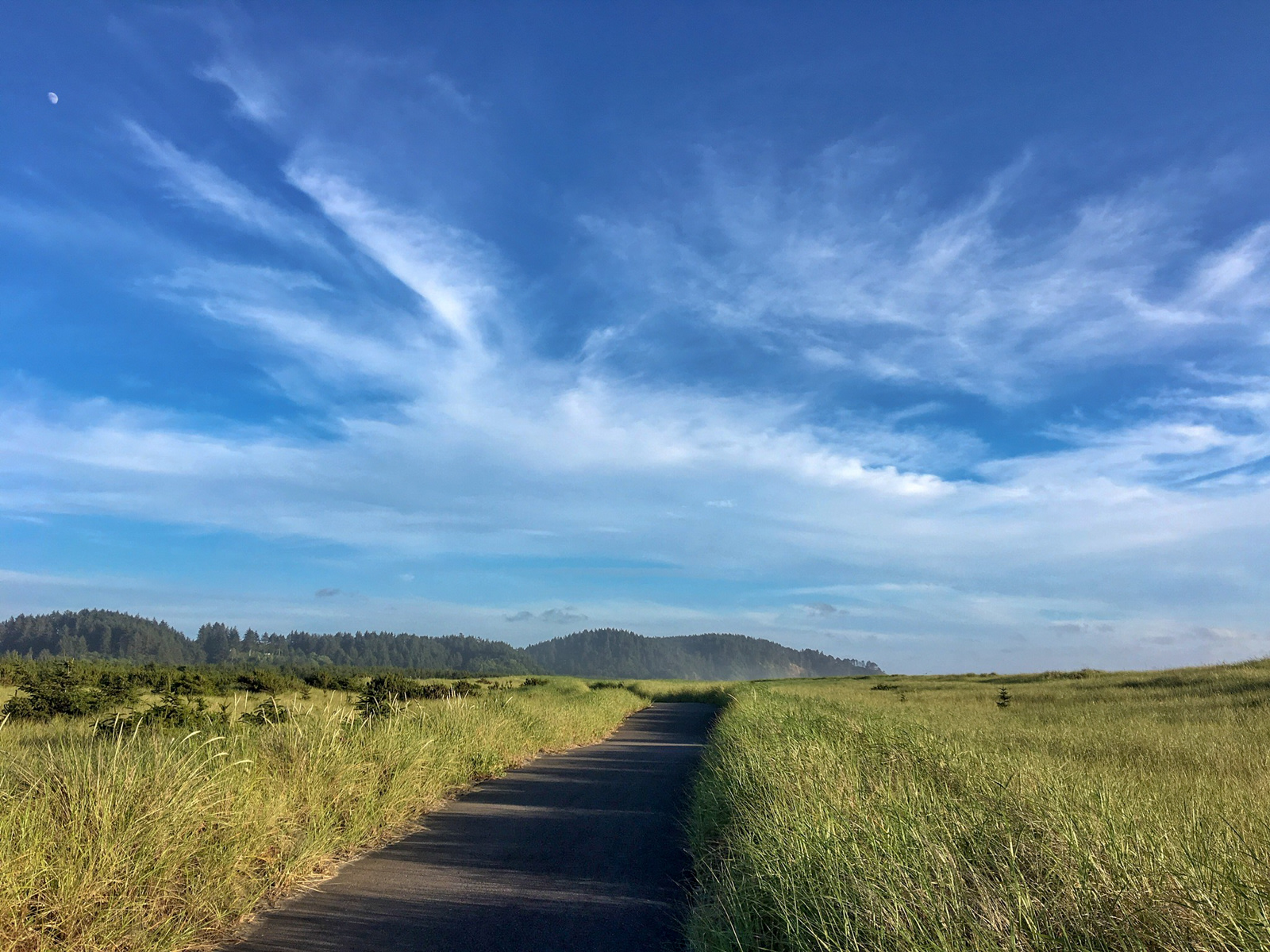 Sou'wester Historic Lodge & Vintage Travel Trailer Resort
