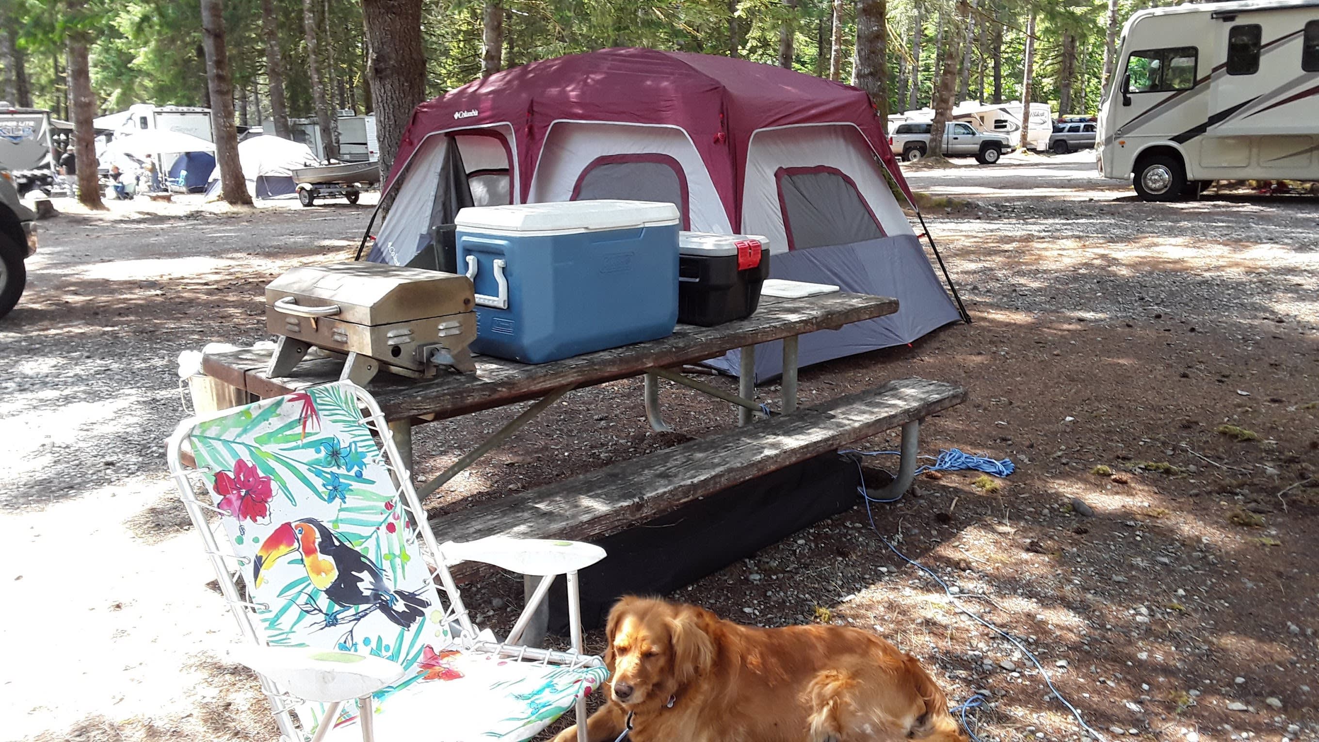 Kulshan Campground
