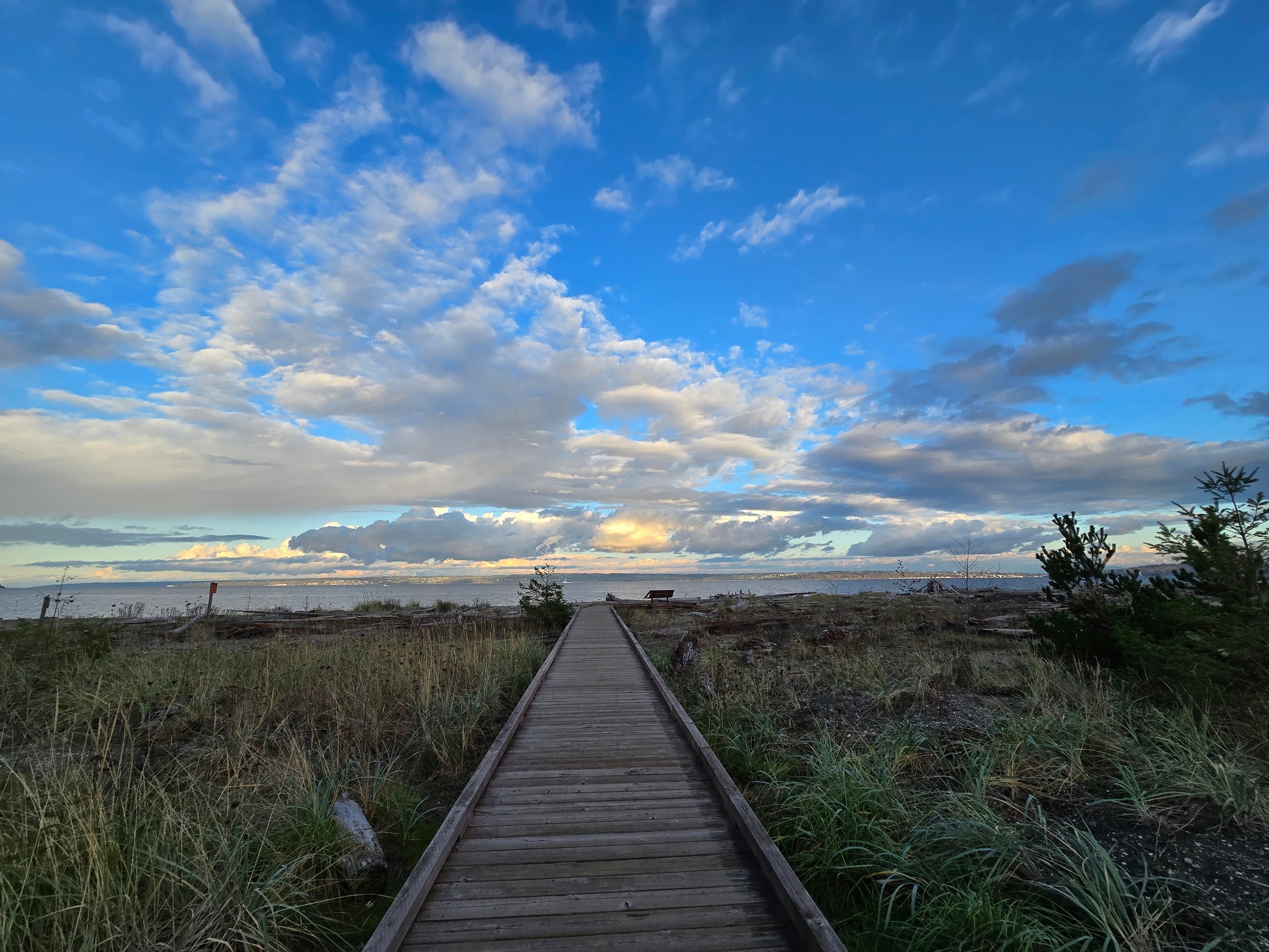 Fay Bainbridge Park