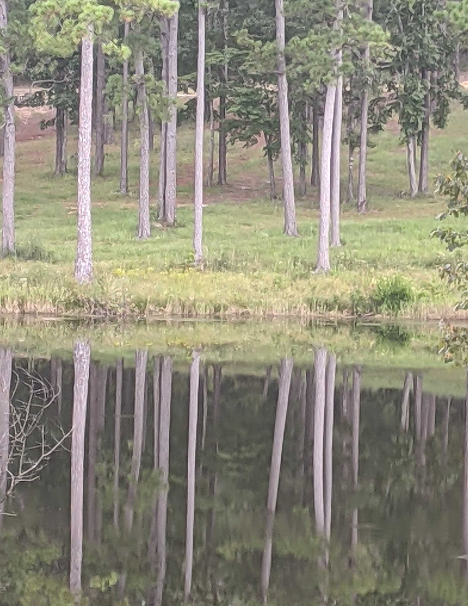 Citronelle Lakeview RV Park