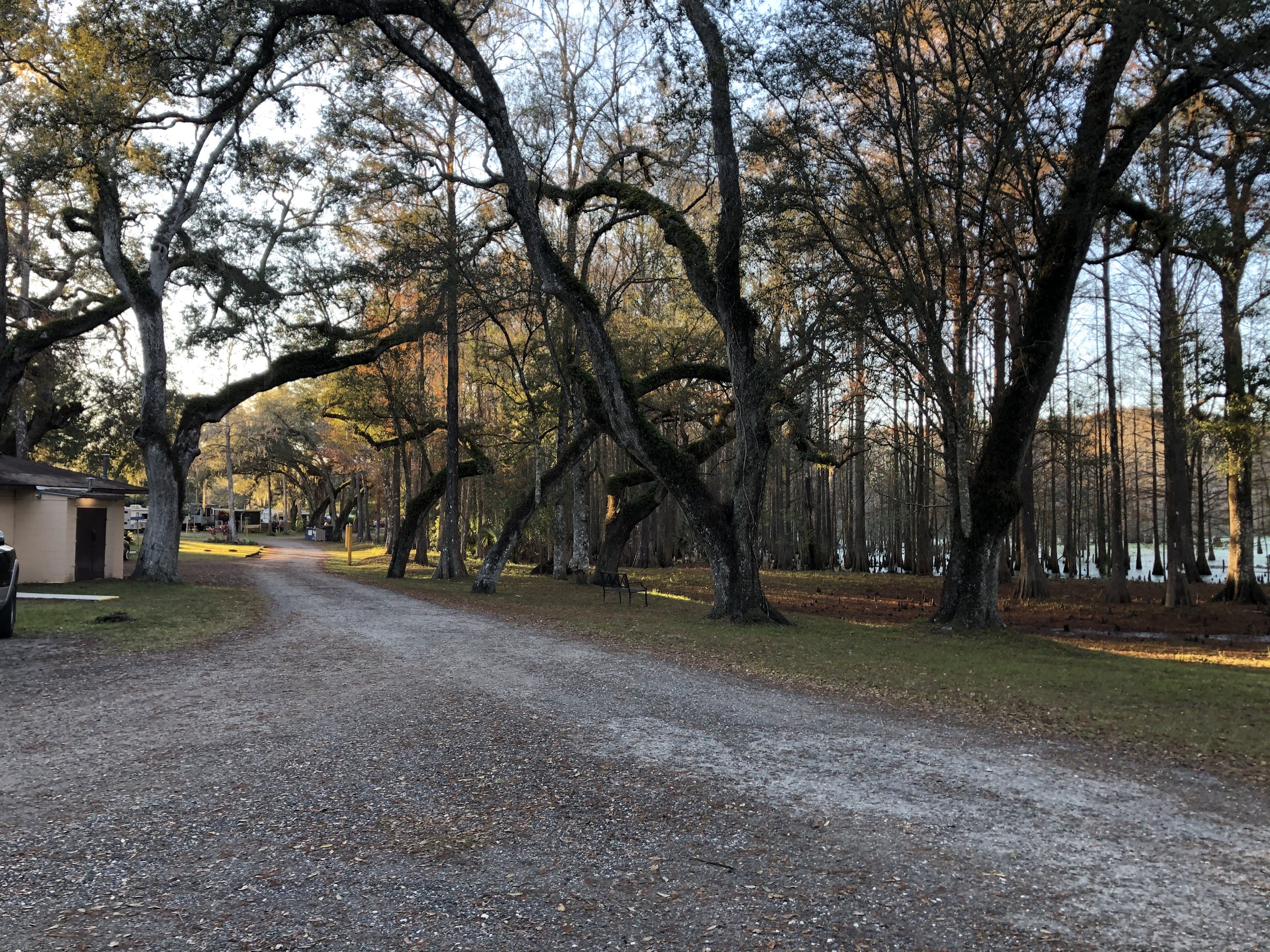 Sumter Oaks - Escapees RV Parks