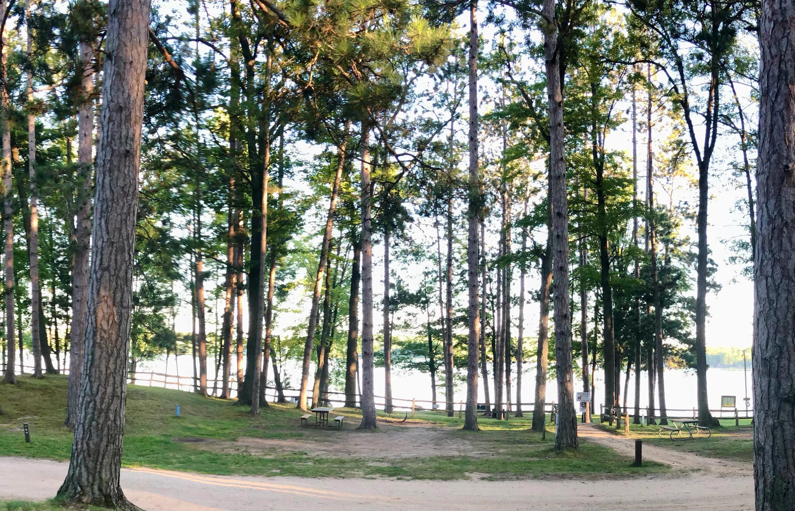 Rose Lake County Park