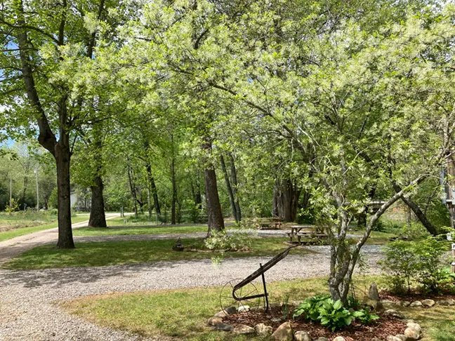 Peaceful Cove Campground