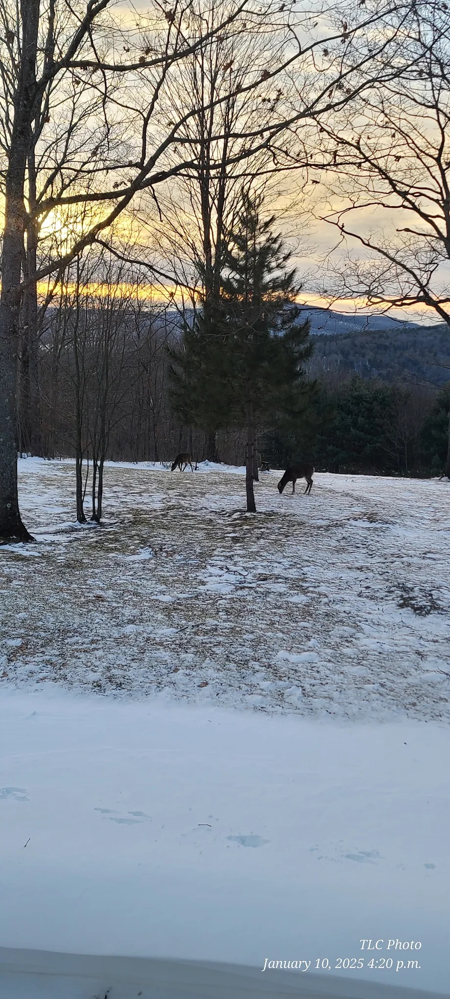 The Hills at Windsor