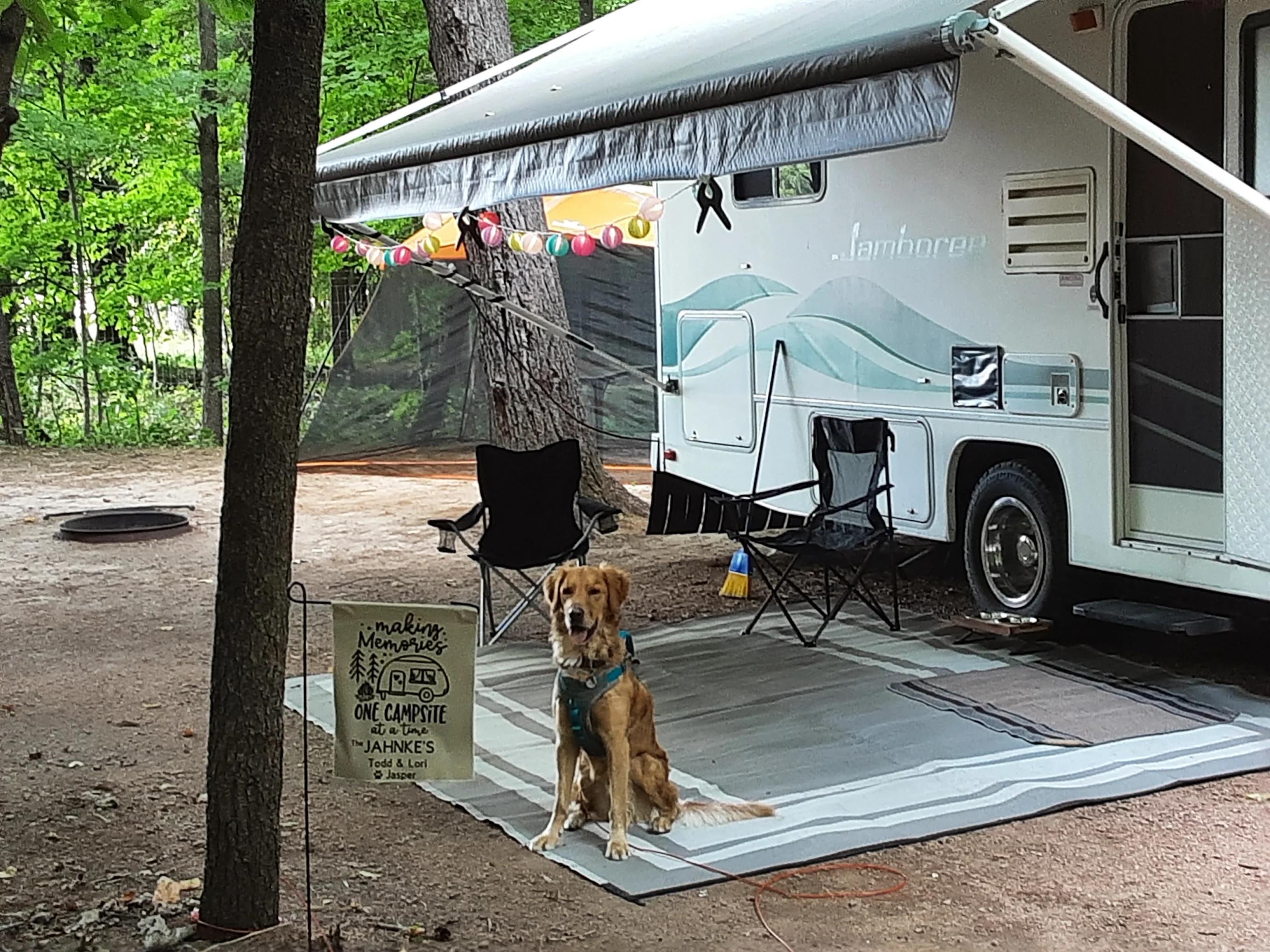 Collins Park Portage County Park