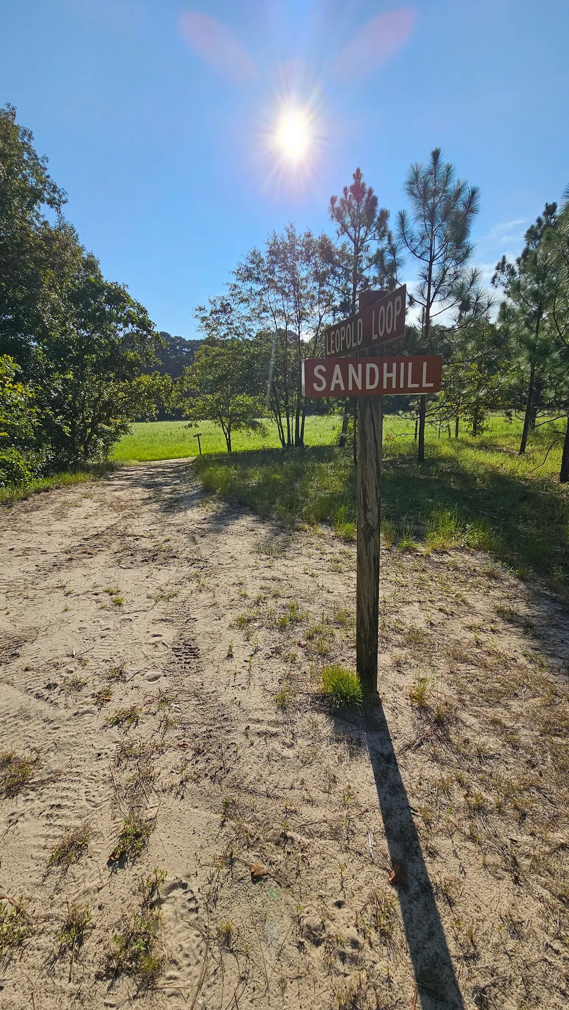 Howell Woods Environmental Learning Center