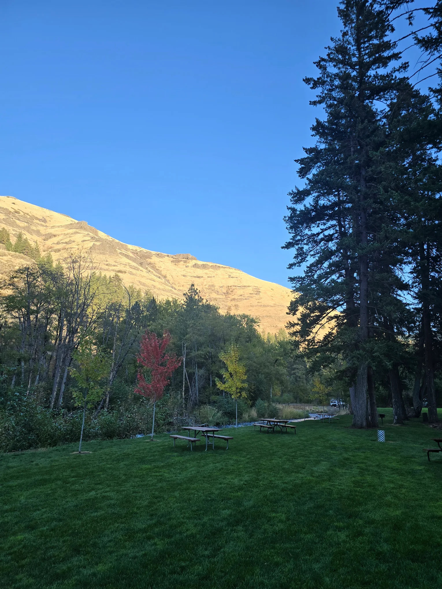 Harris Park