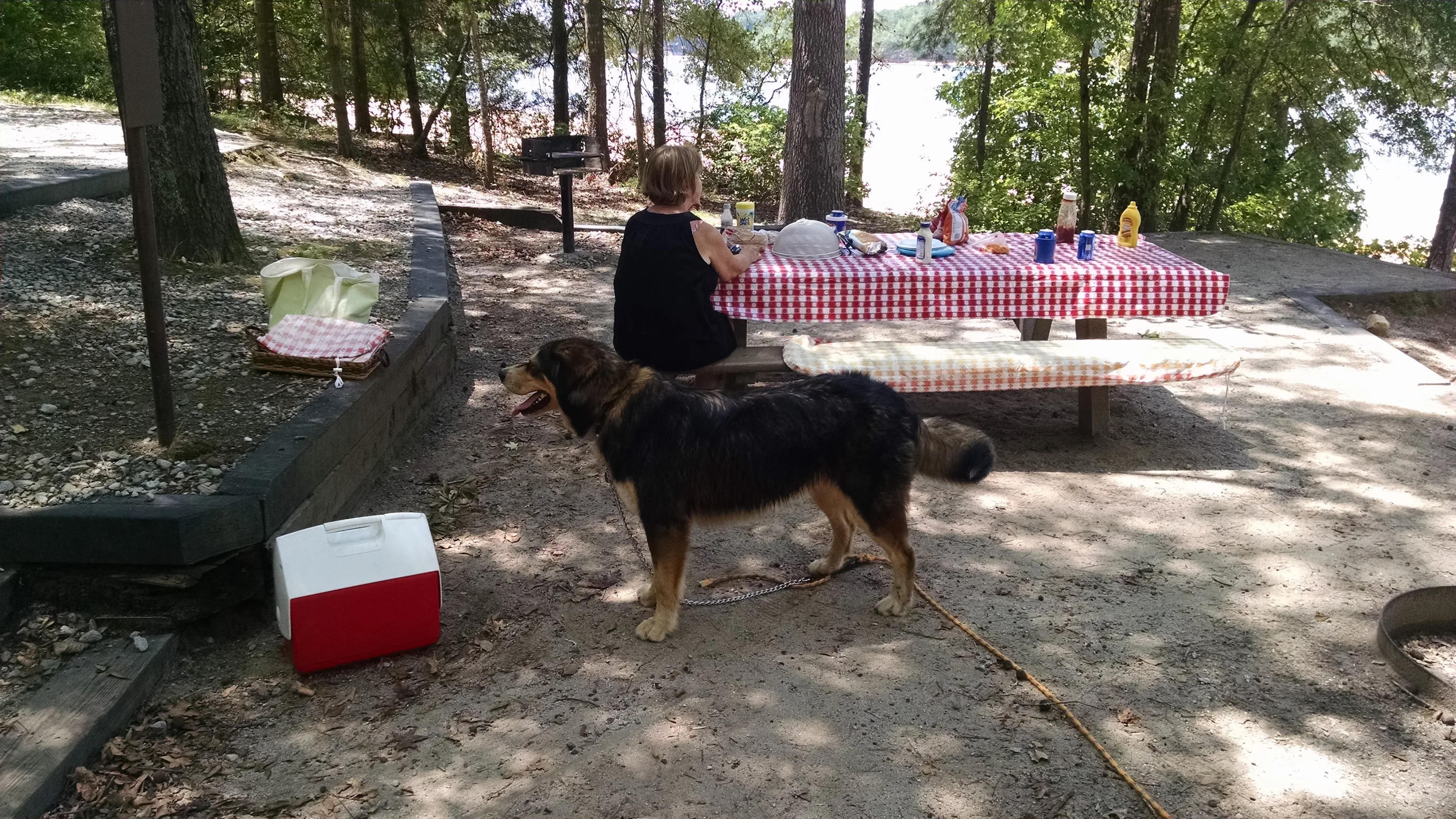 Paynes Creek Campground